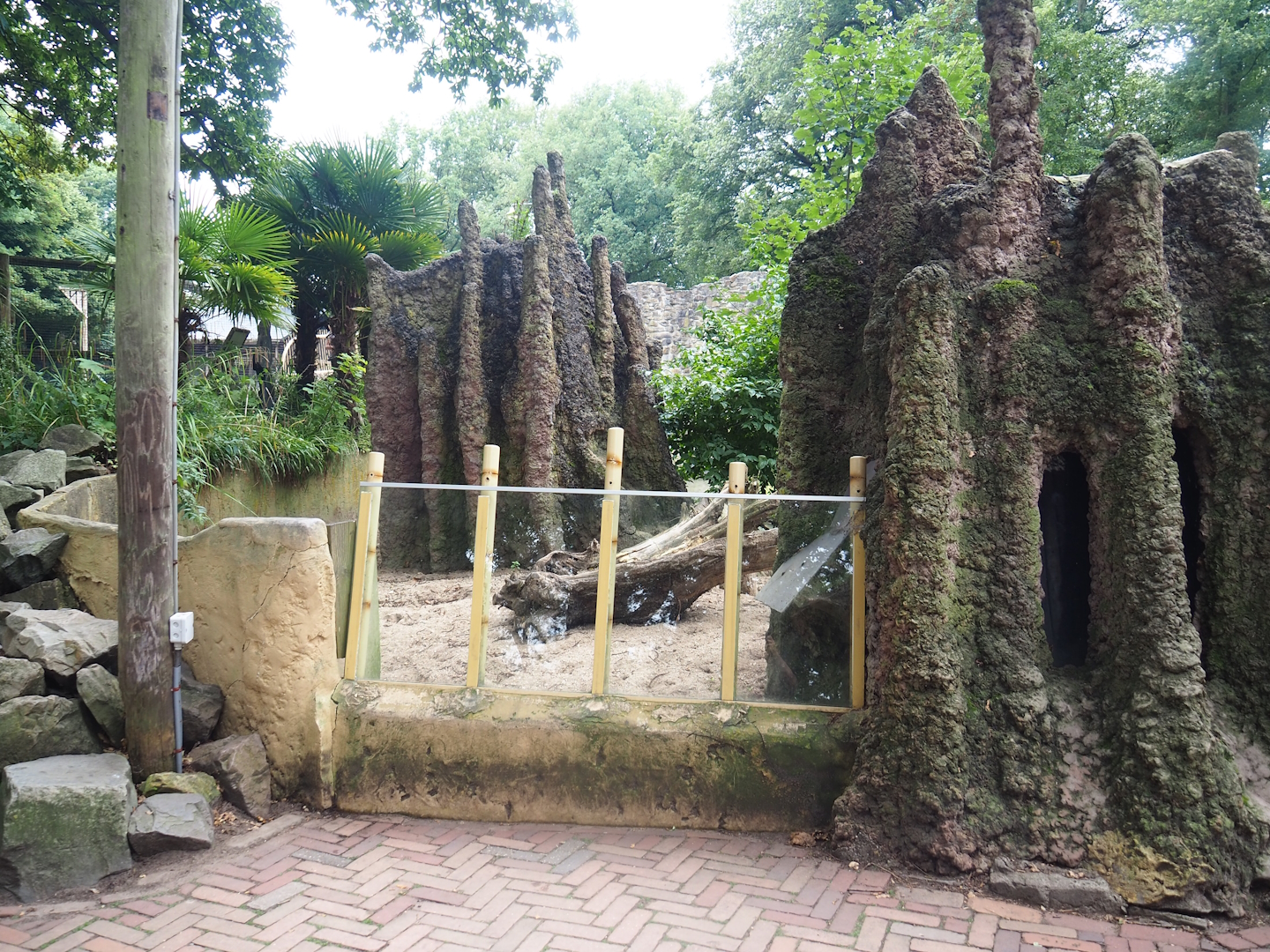 Meerkat exhibit, 2023-08-17