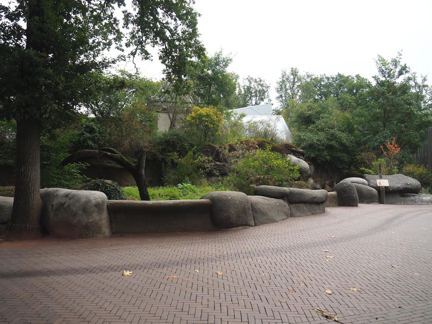 Meerkat exhibit, 2023-10-07