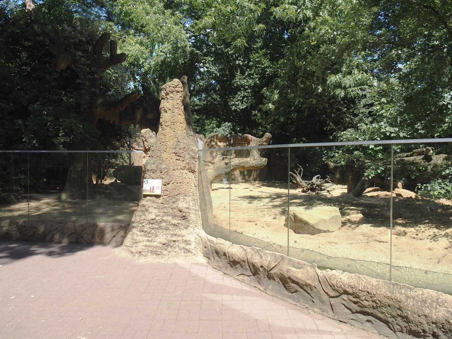 Meerkat exhibit, 2024-06-08