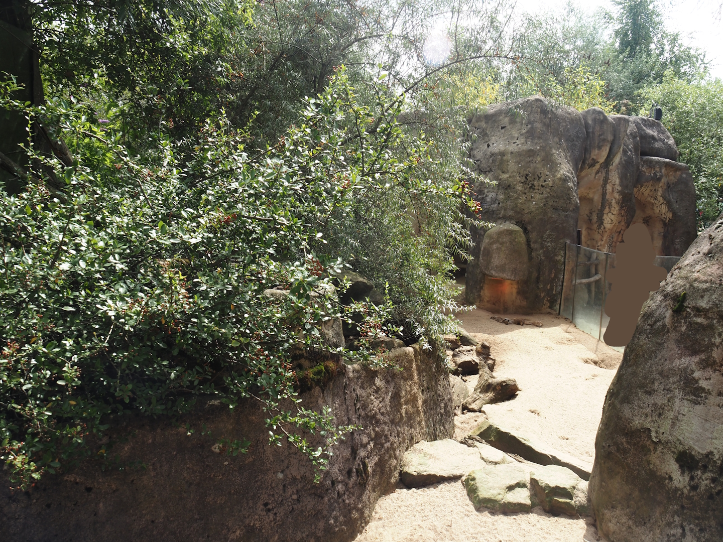 Meerkat exhibit, 2024-08-05