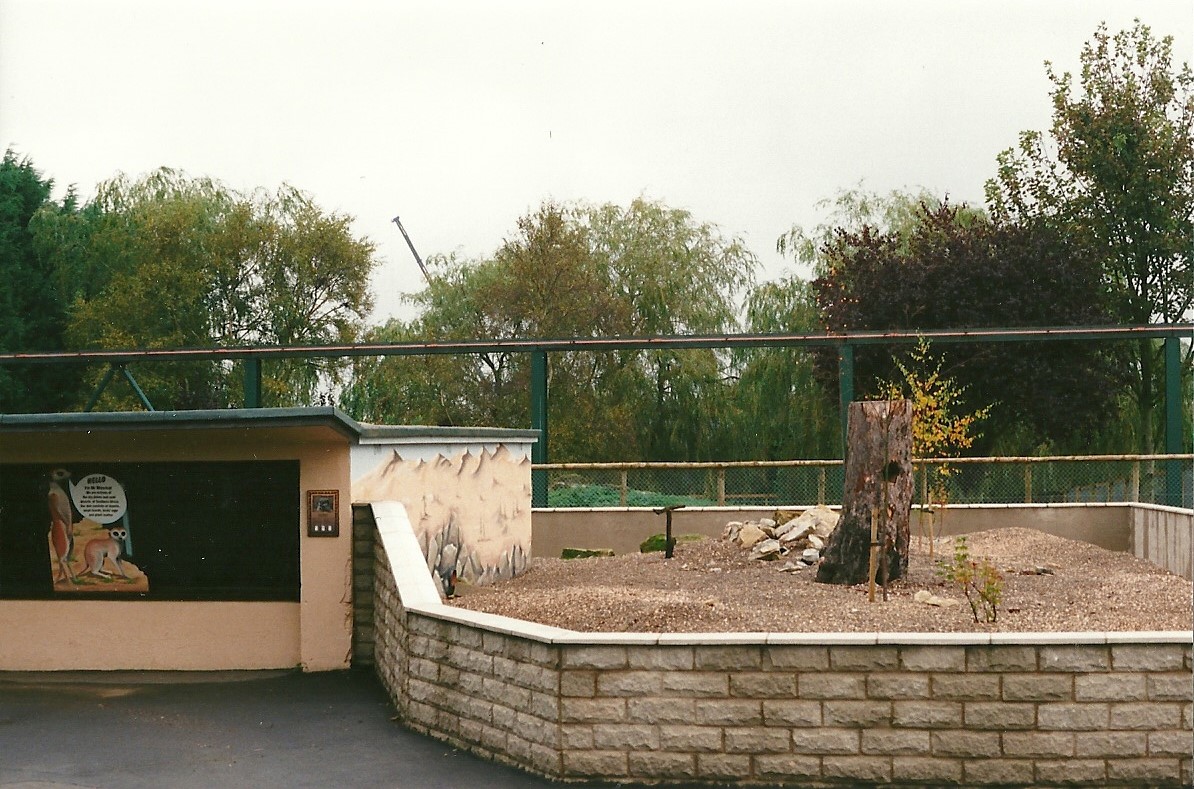 Meerkat exhibit 23rd October 1999