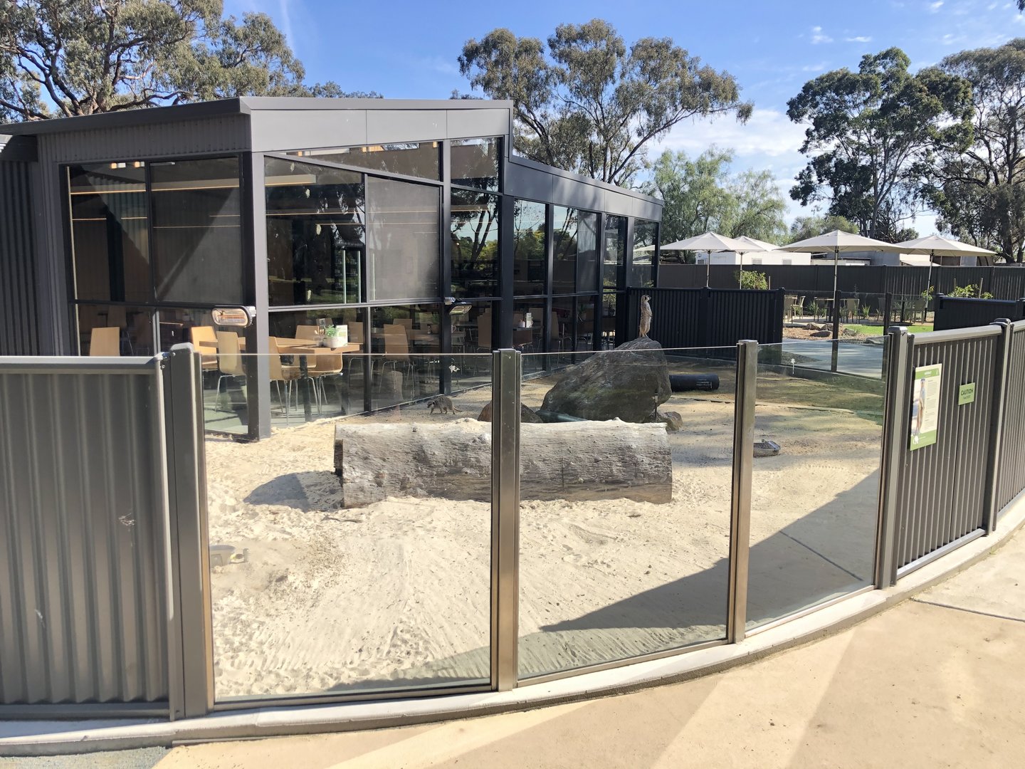 Meerkat Exhibit and Cafe