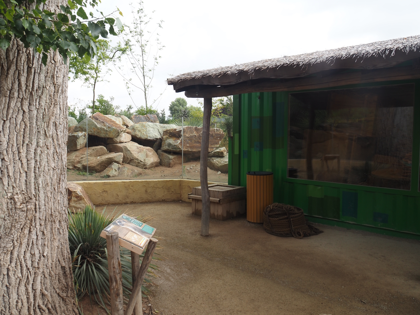 Meerkat exhibit and house next to the Umvikeli aviary, 2025-06-09