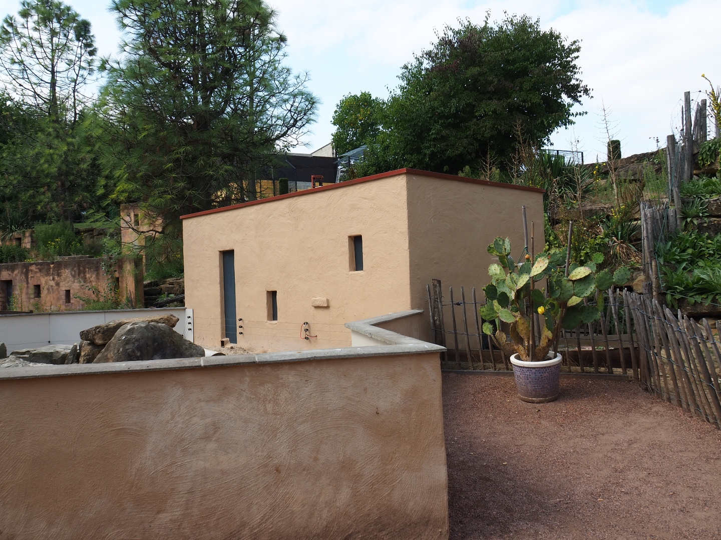 Meerkat exhibit and Meerkat - Sulcata tortoise house (Aug 28th, 2018)