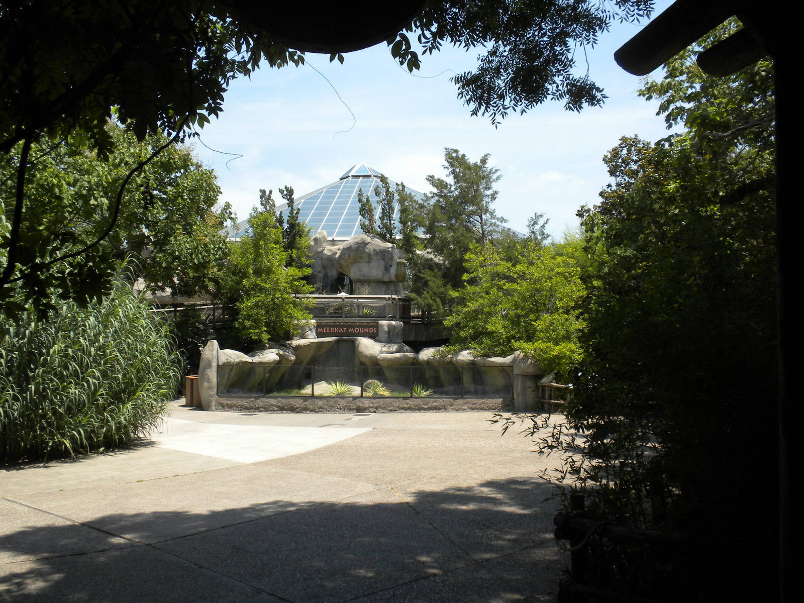 Meerkat exhibit and World of Primates