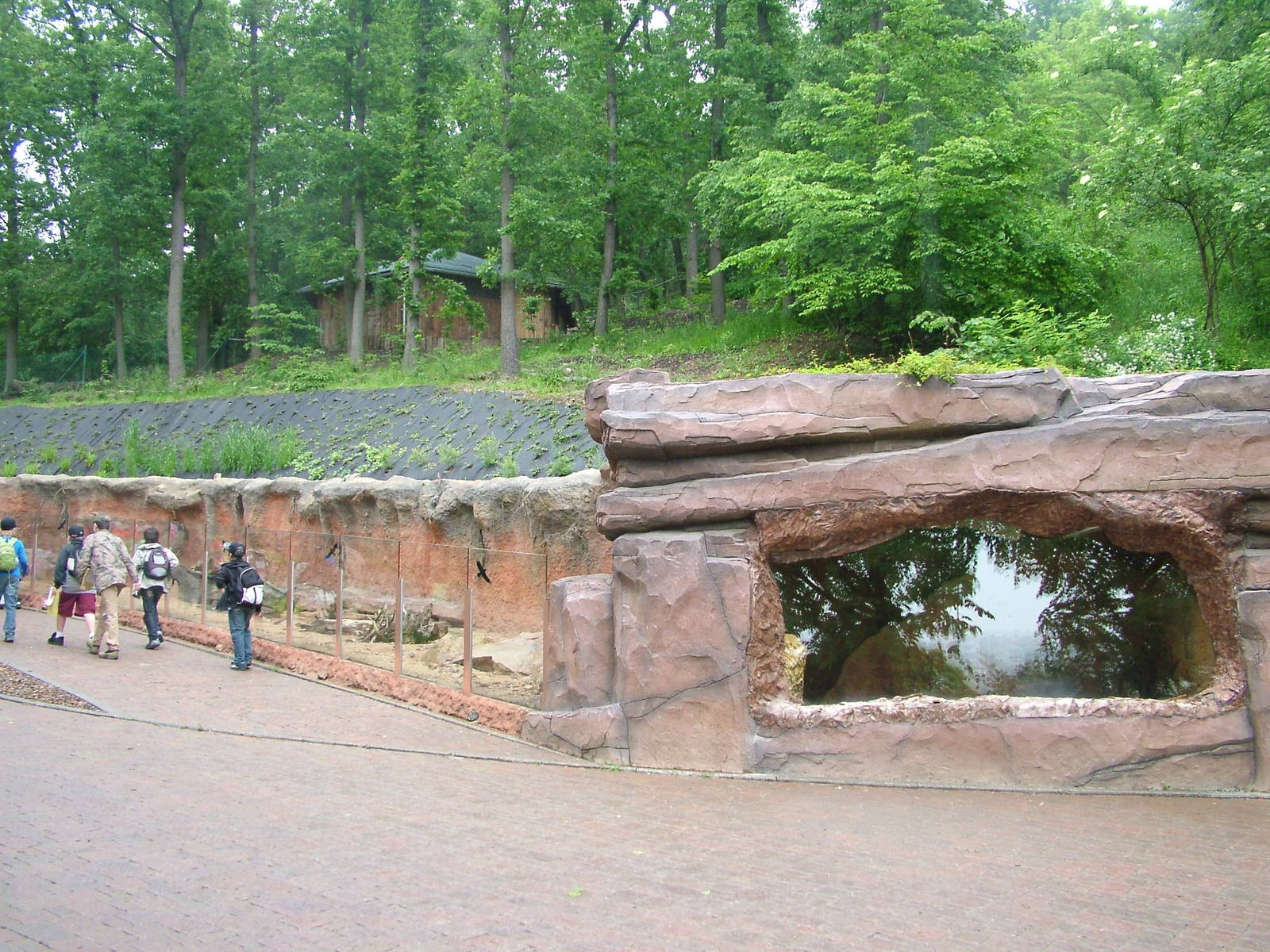 Meerkat exhibit at Brno, 27/05/10