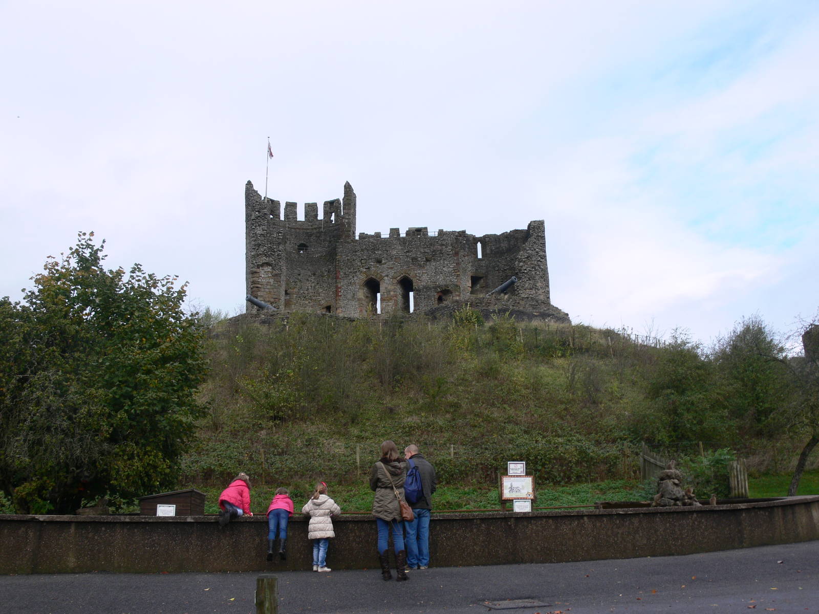 Meerkat exhibit at Dudley, 02/11/13