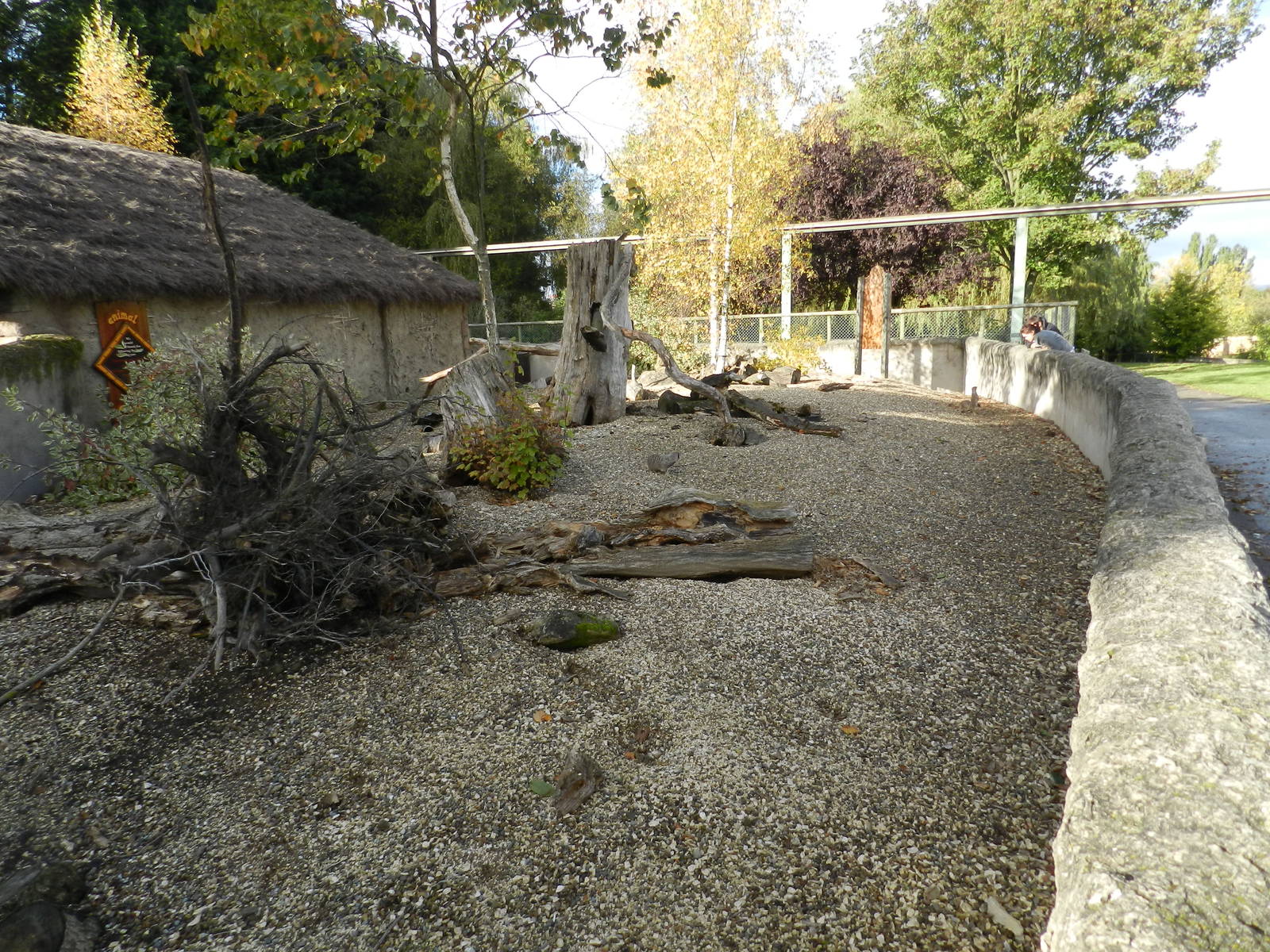 Meerkat Exhibit at Flamingo Land - 14/10/2012