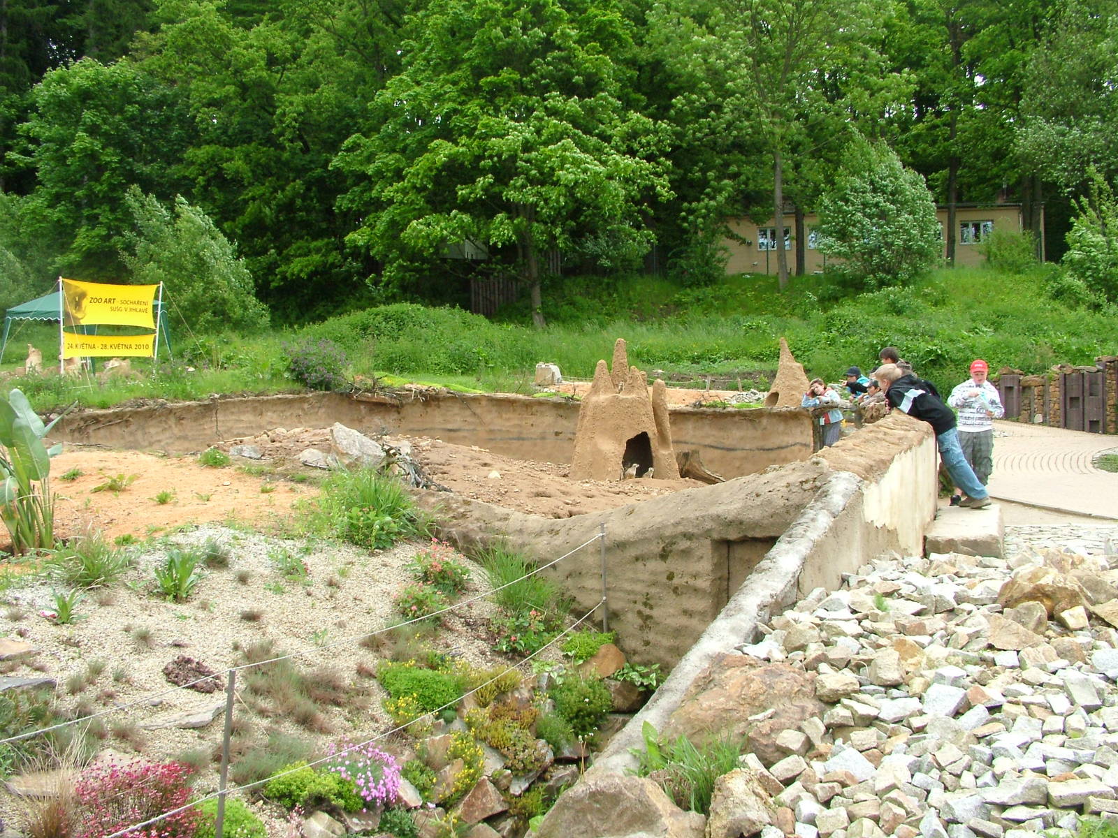 Meerkat exhibit at Jihlava, 31/05/10