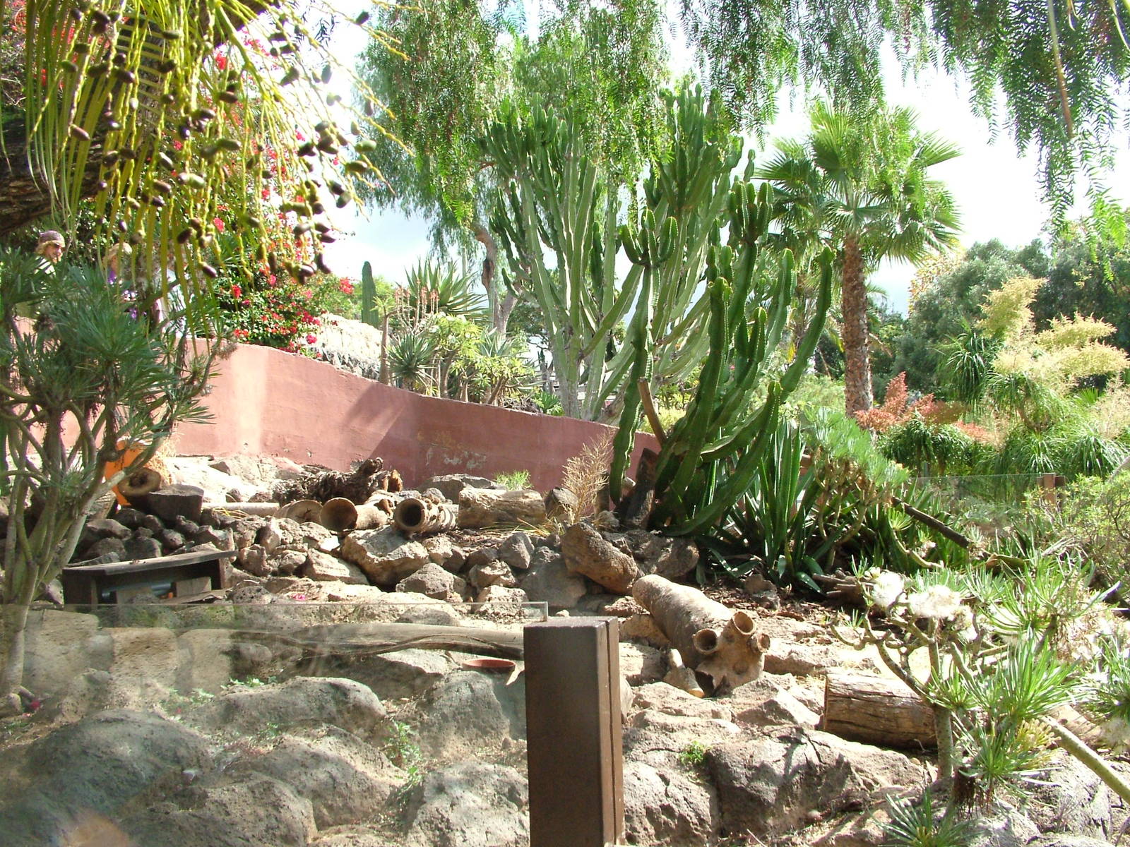Meerkat Exhibit at Jungle Park (Las Aguilas), 13/11/10