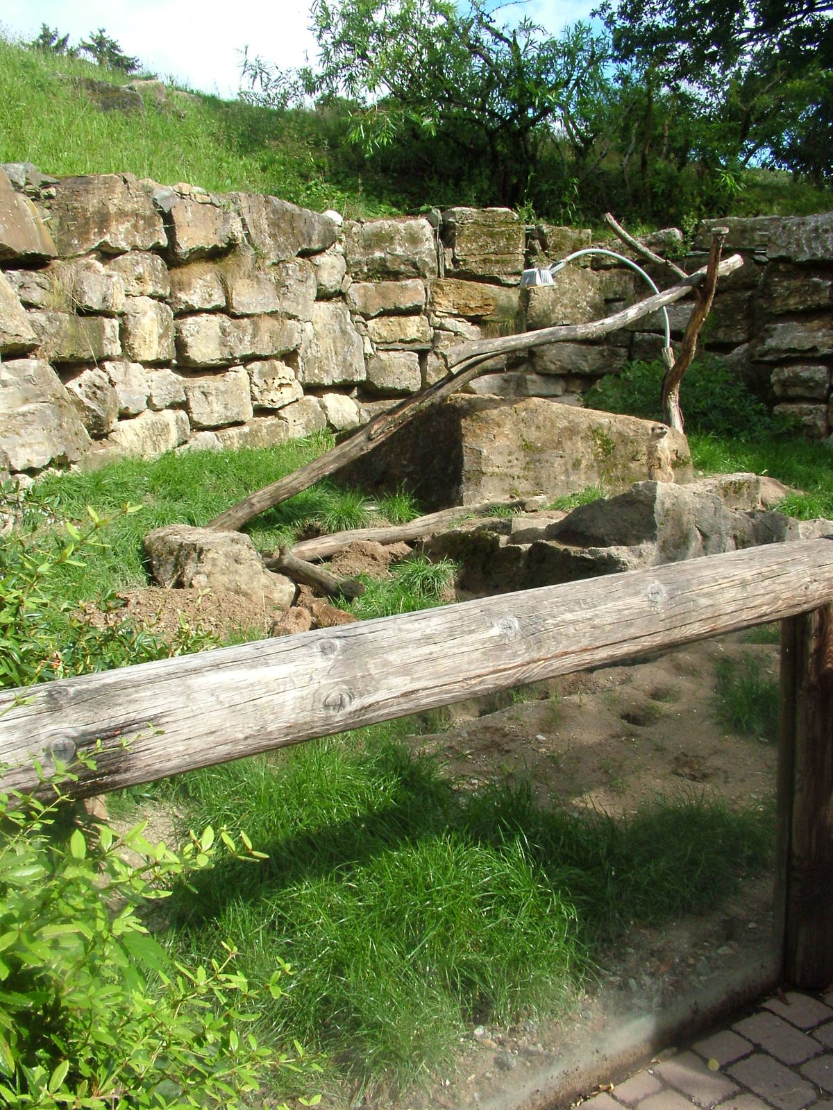 Meerkat Exhibit at Opel-Zoo Kronberg, 30/08/10