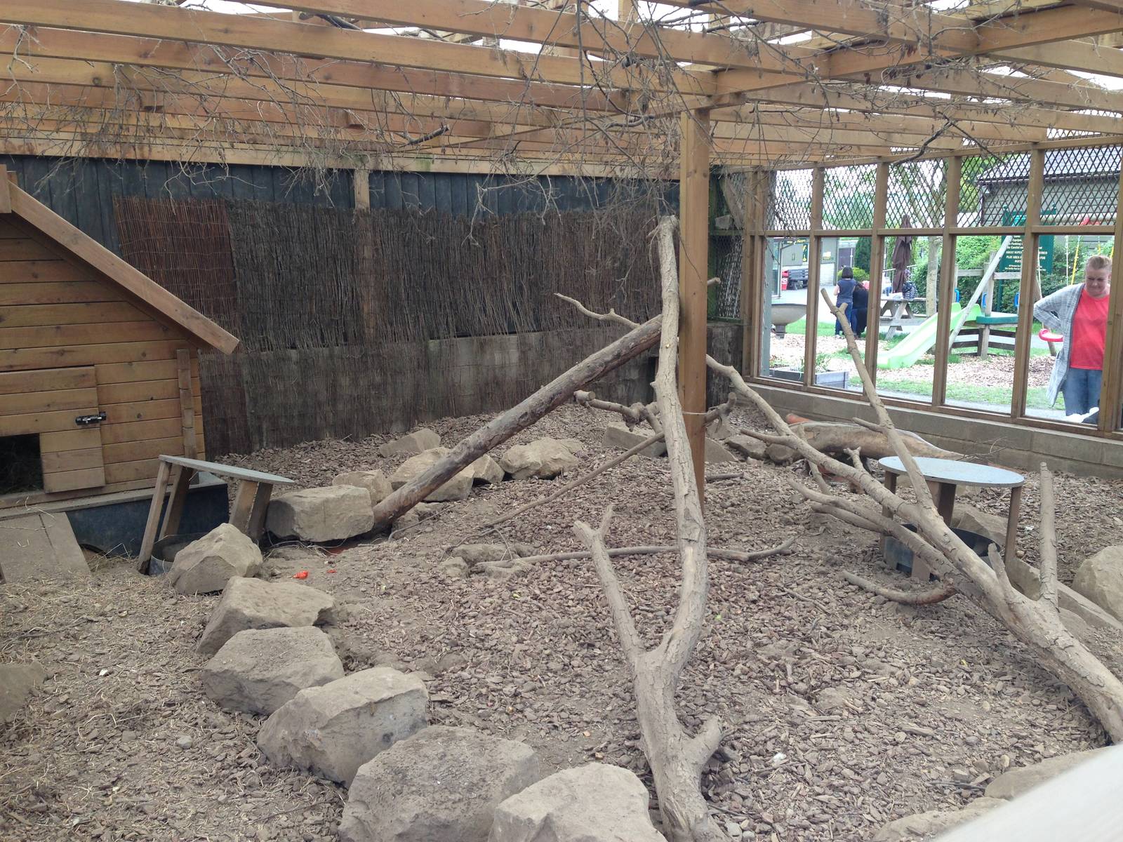 Meerkat Exhibit at Ponderosa Rural Thereapeutic Centre