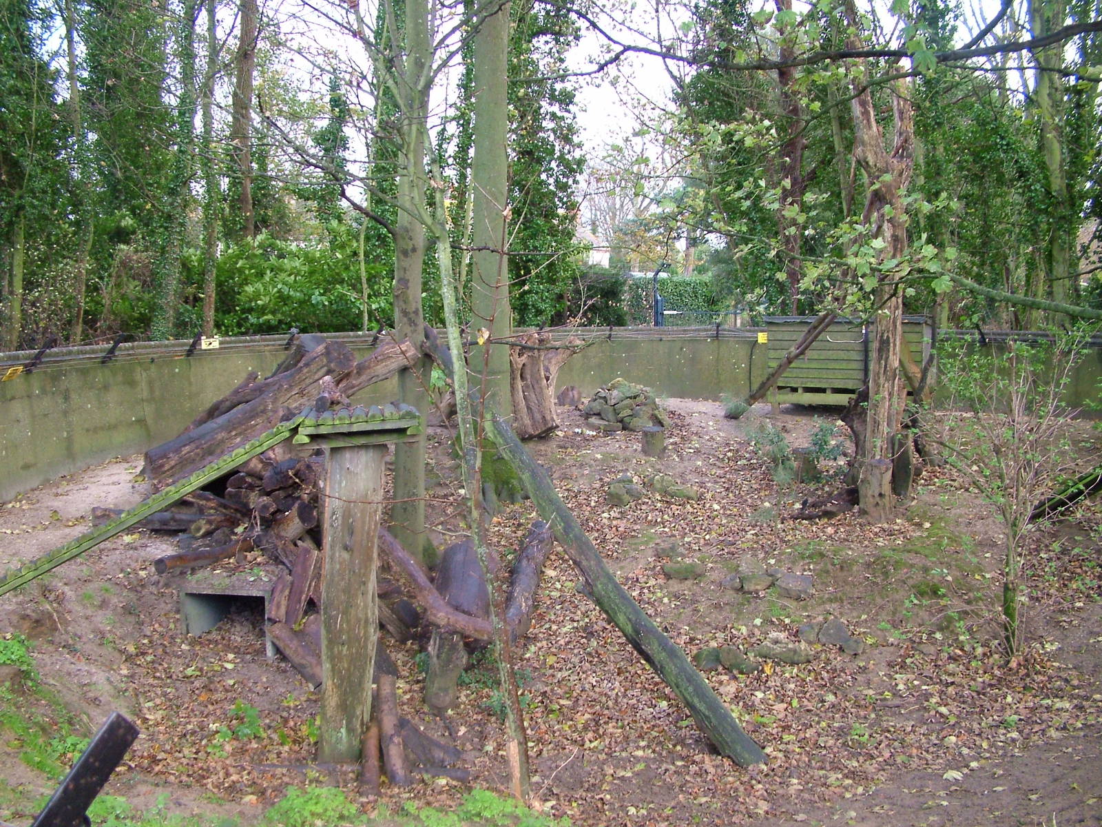 Meerkat exhibit at Port Lympne 27/11/09