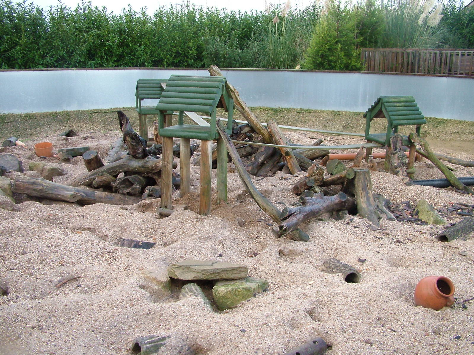 Meerkat exhibit at Tropical Wings 29/11/09