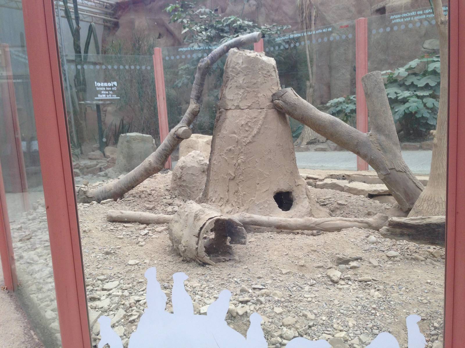 Meerkat Exhibit at Tropical World - 02/10/2013