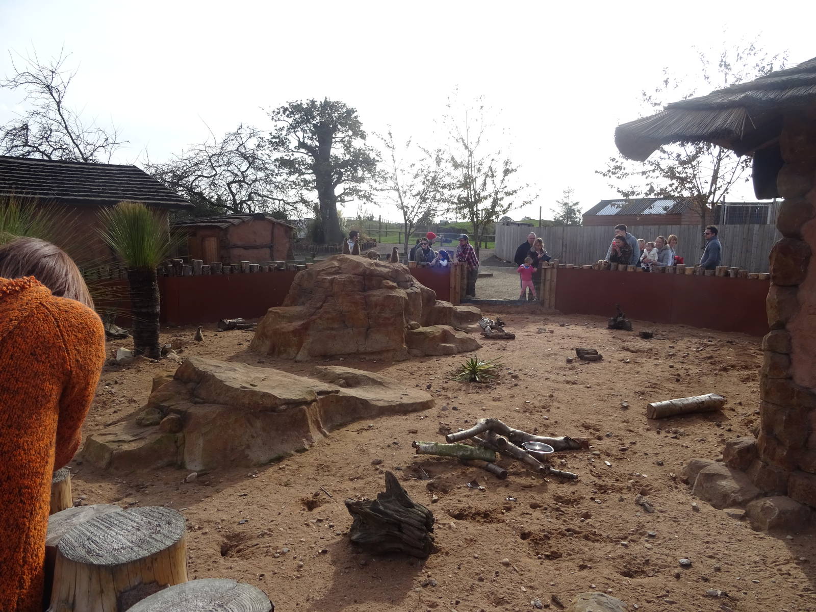 Meerkat Exhibit at Yorkshire Wildlife Park