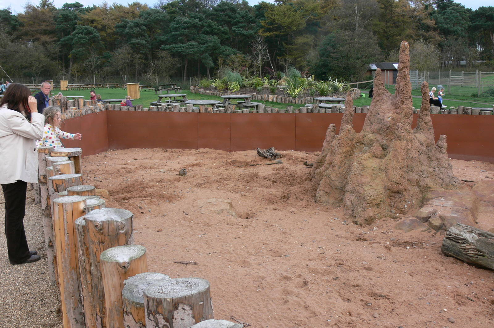 Meerkat Exhibit at Yorkshire WP, 28/10/14