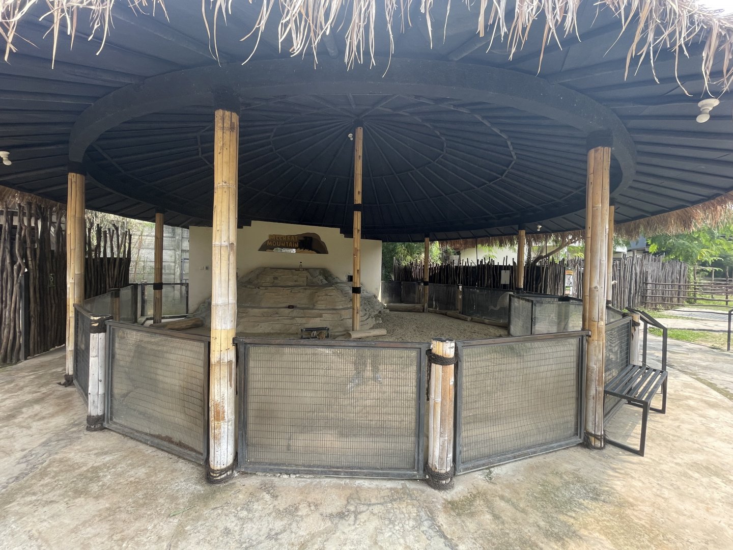 meerkat exhibit - aviary park