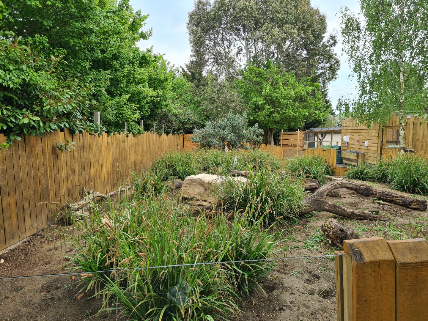 Meerkat exhibit, Call of the Wild