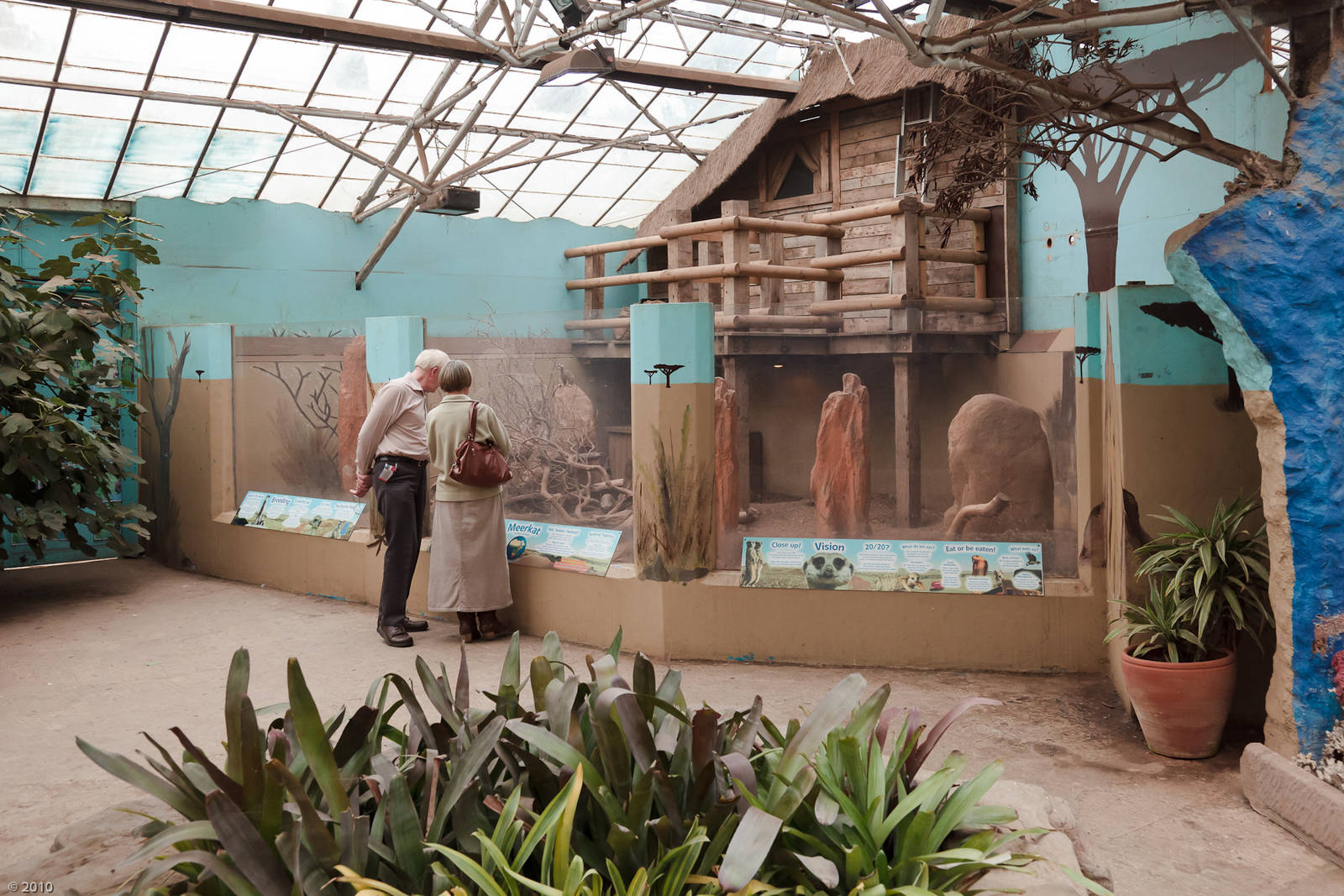 Meerkat Exhibit - Closing Day - 05/09/2010