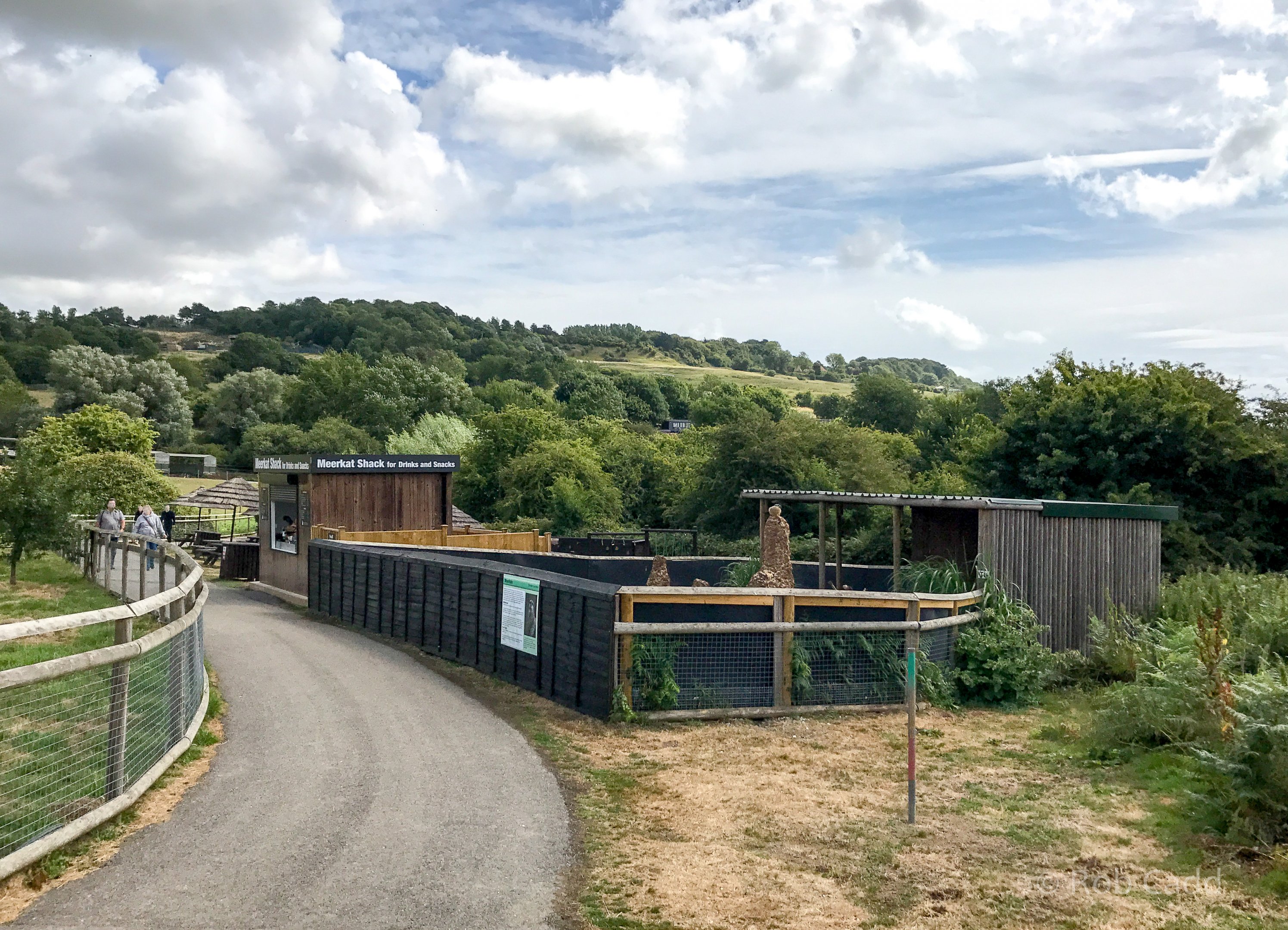 Meerkat (exhibit); drinks shack : Port Lympne : 22 Jul 2017
