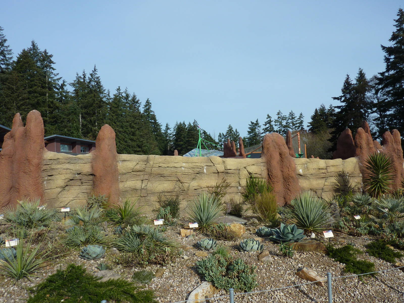 Meerkat Exhibit - Exterior