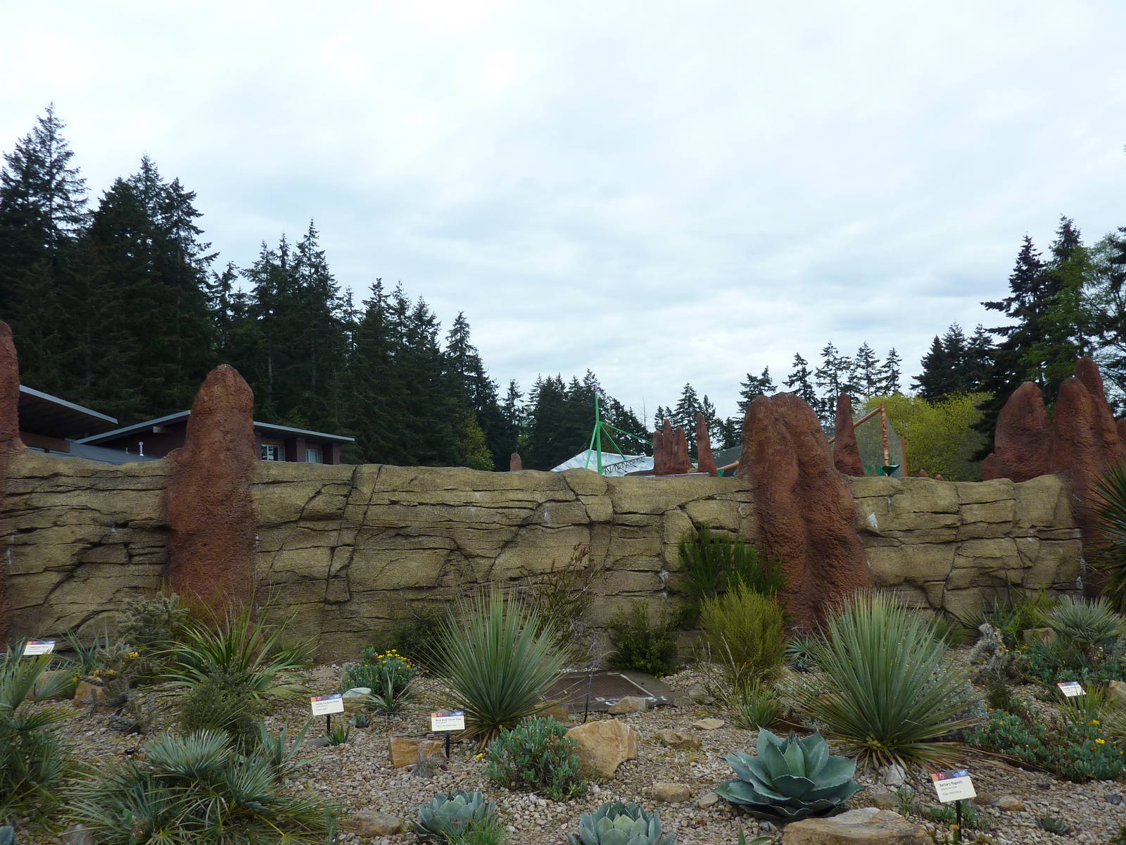 Meerkat Exhibit - Exterior