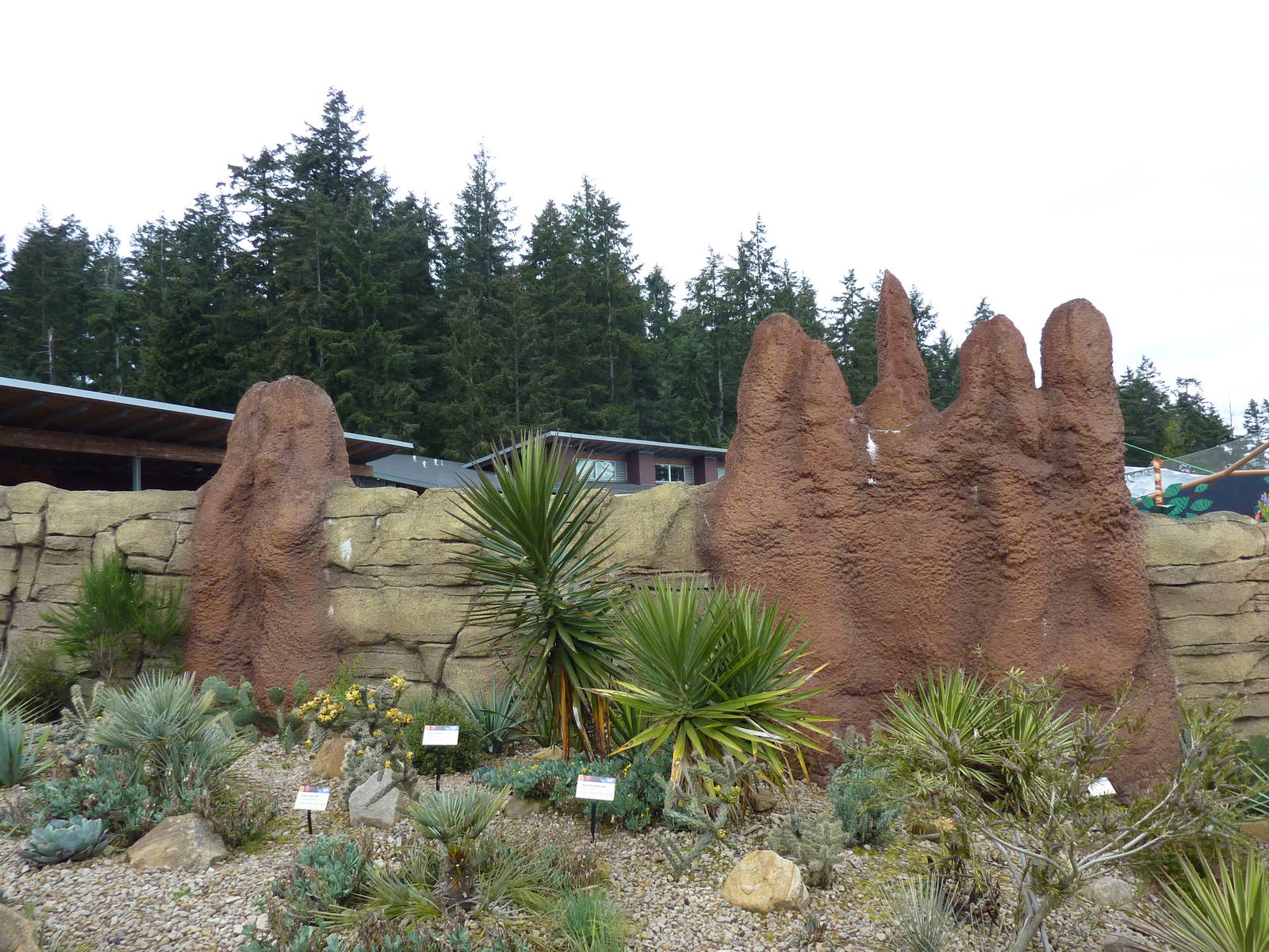 Meerkat Exhibit - Exterior