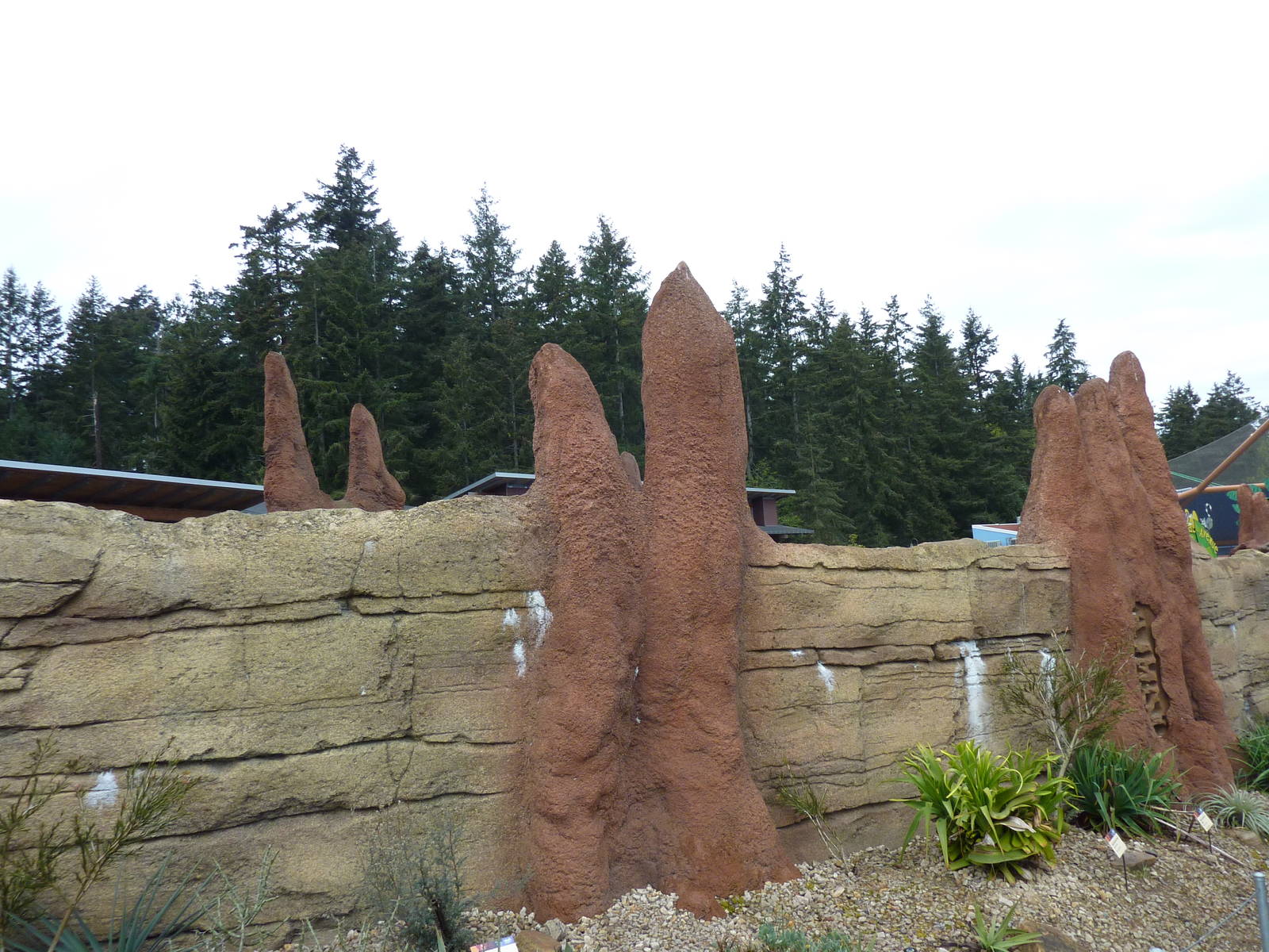 Meerkat Exhibit - Exterior