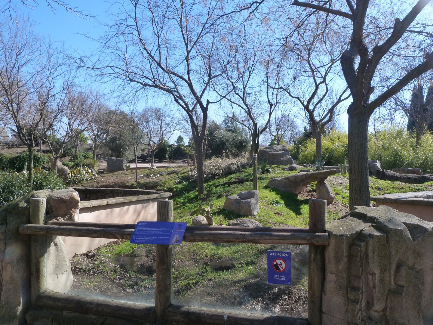 Meerkat exhibit -Faunia (2025)