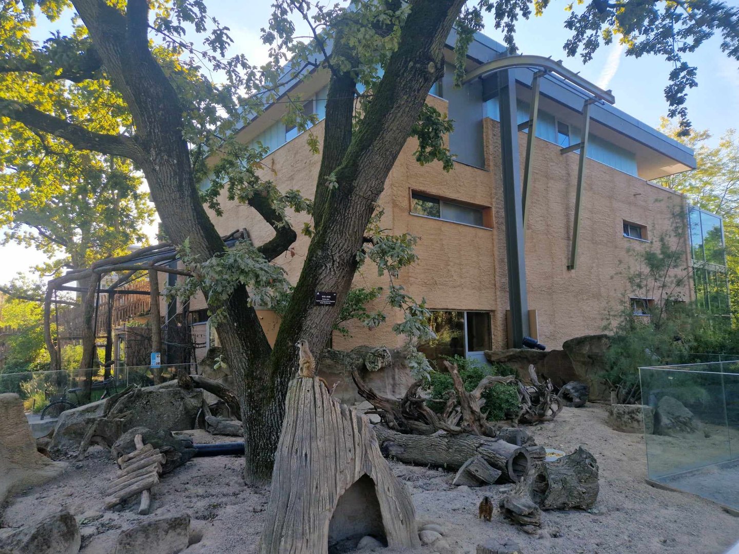 Meerkat exhibit, Giraffe house