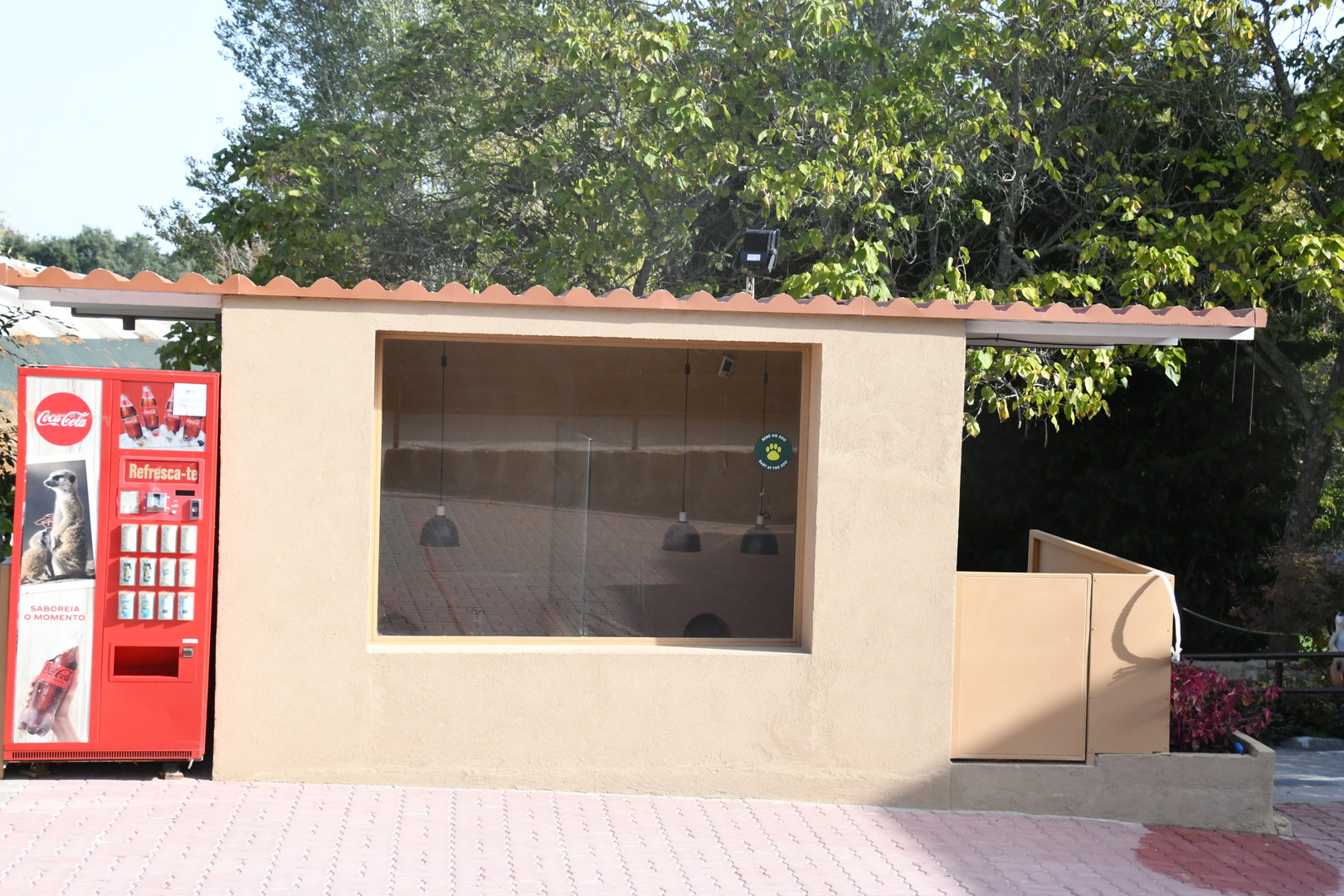 Meerkat Exhibit (indoor section)