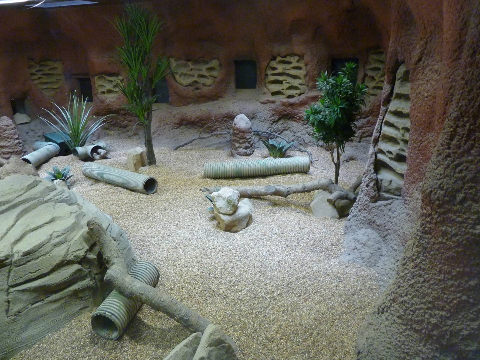 Meerkat Exhibit - Interior