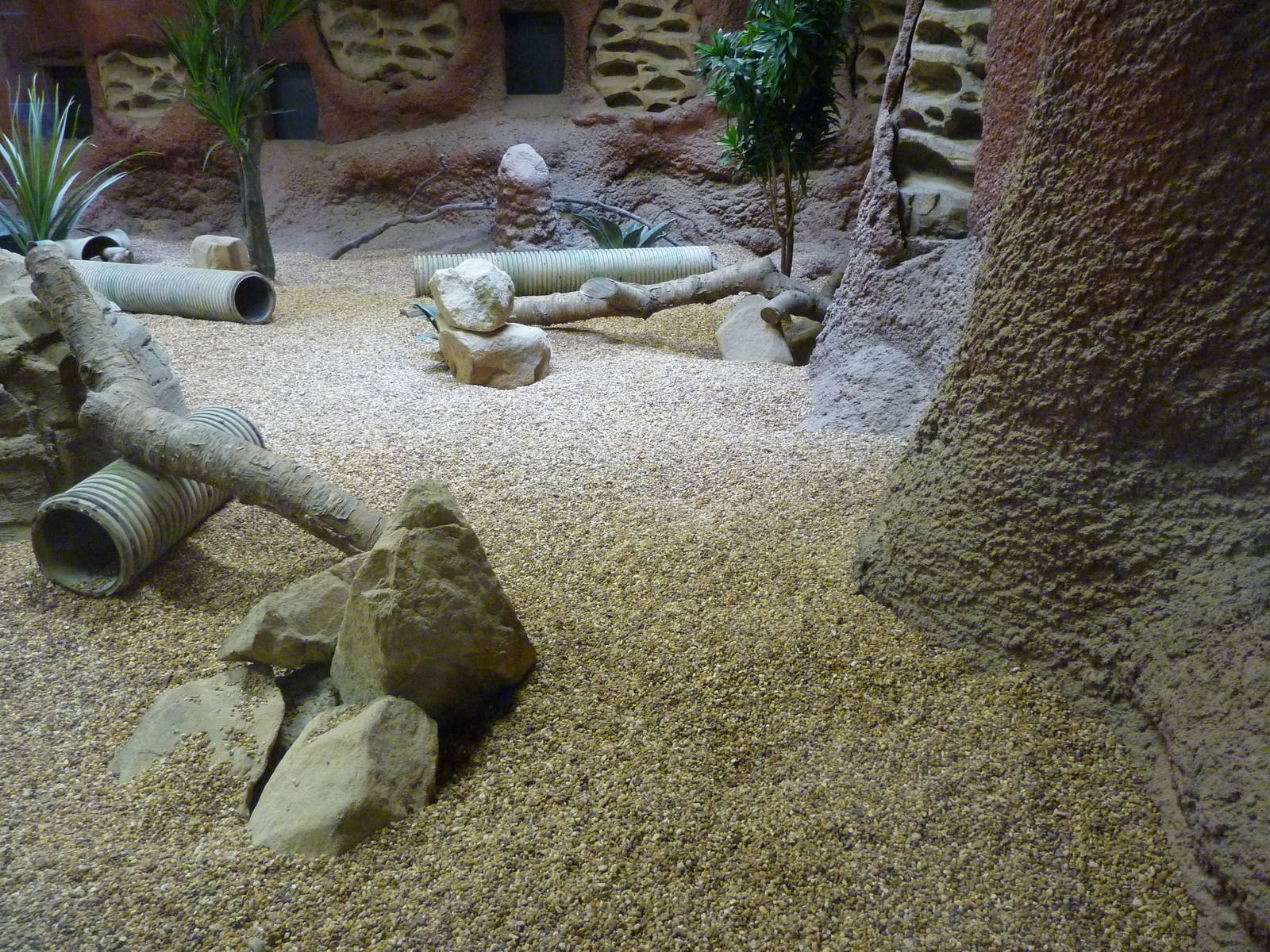 Meerkat Exhibit - Interior