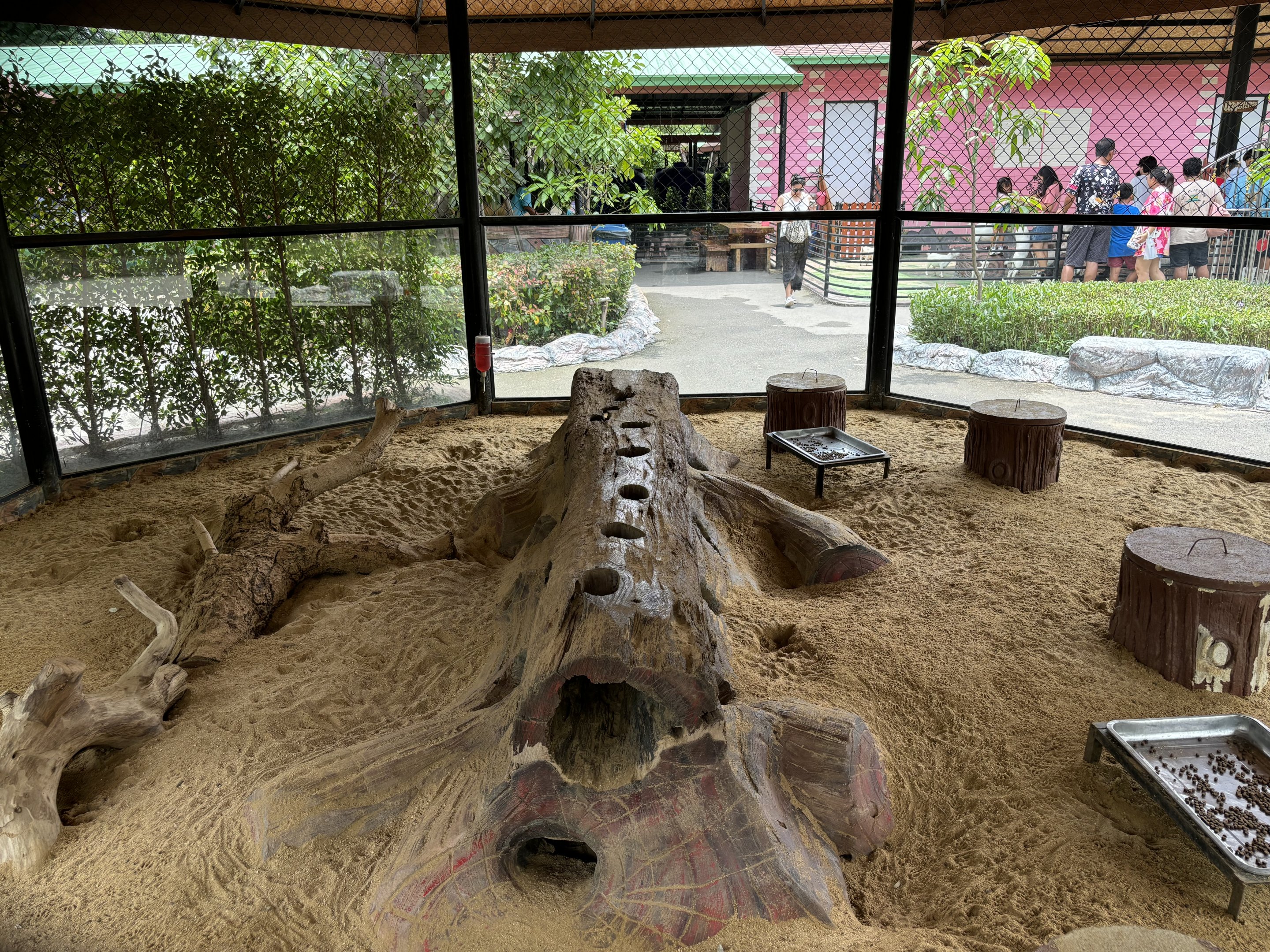 Meerkat Exhibit - Lion Park