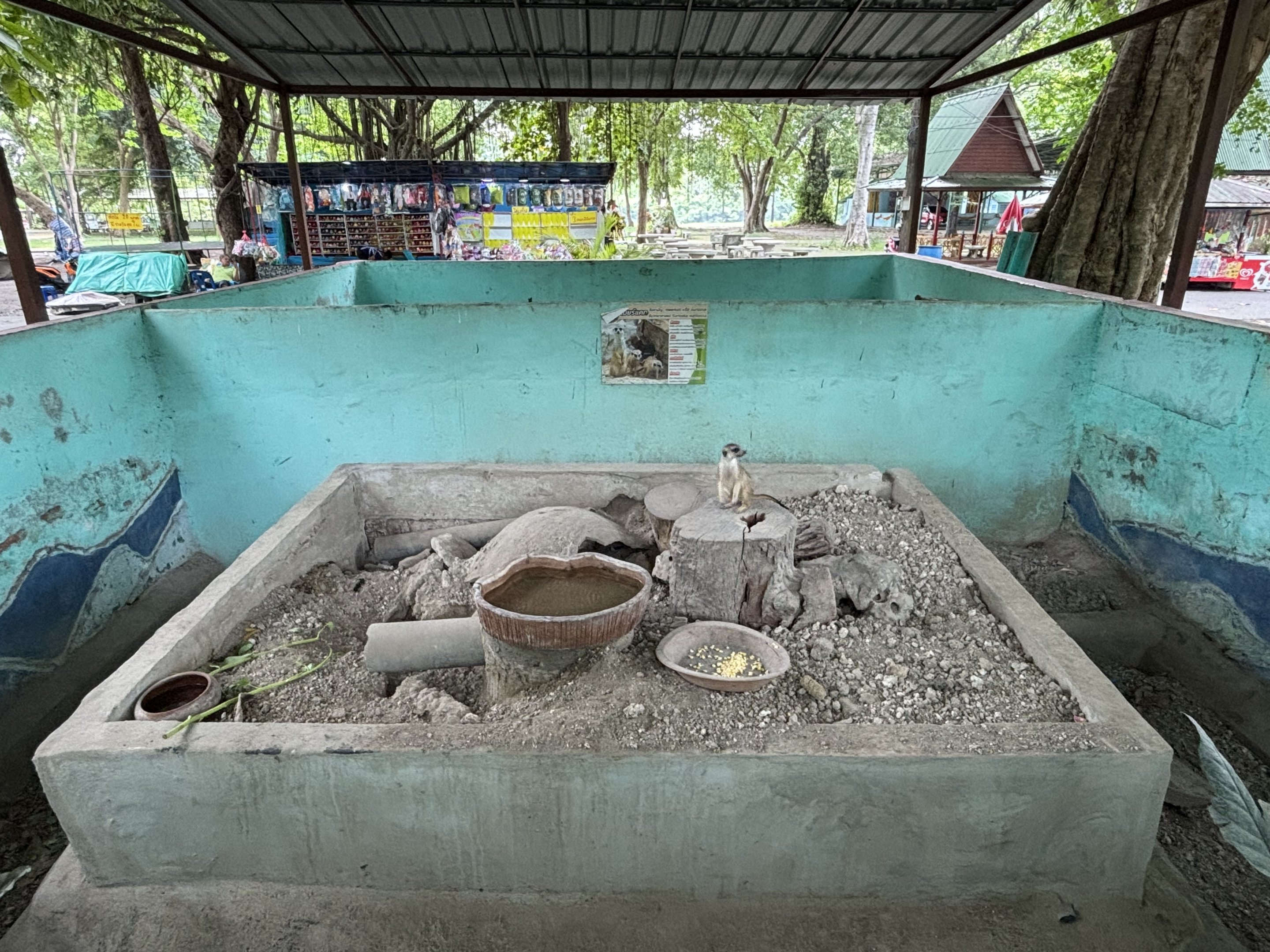 Meerkat Exhibit - Lopburi Zoo