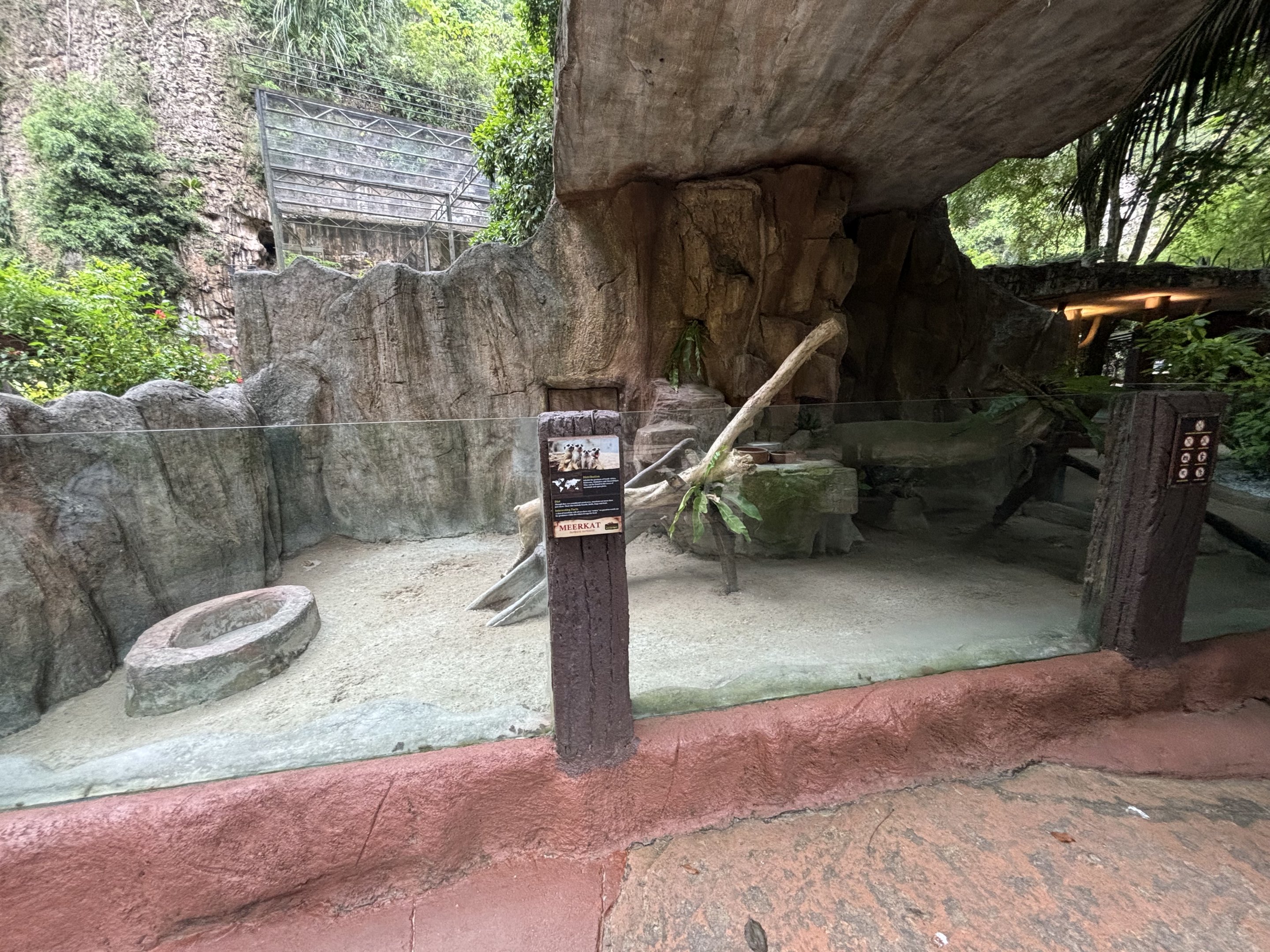 Meerkat Exhibit - Lost World of Tambun