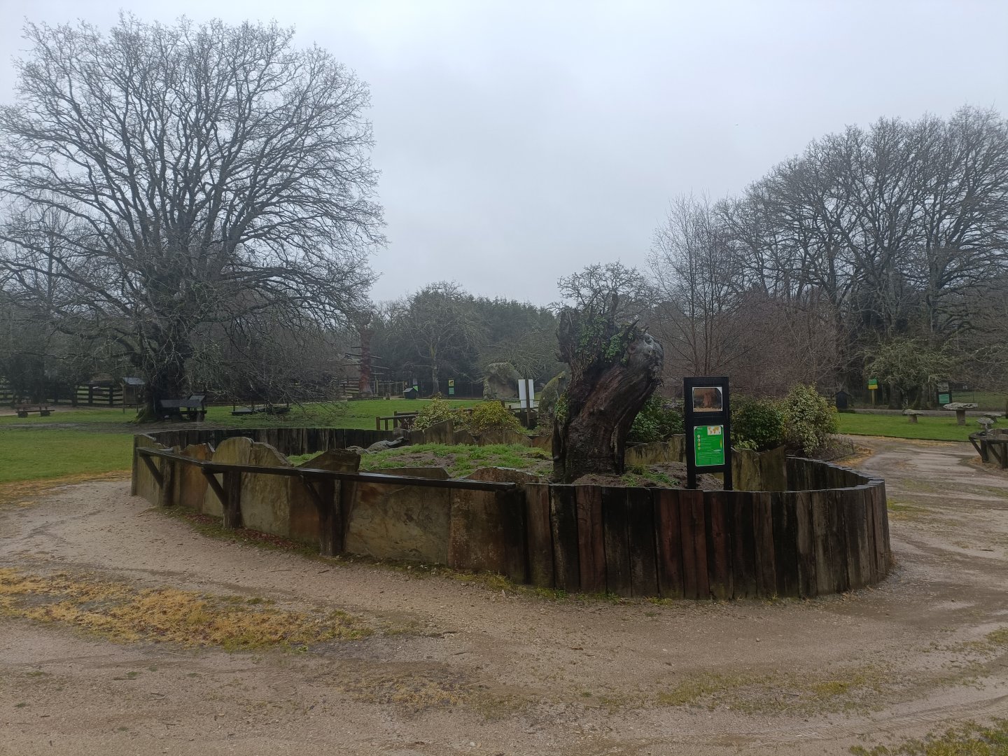 Meerkat exhibit -Marcelle Naturaleza