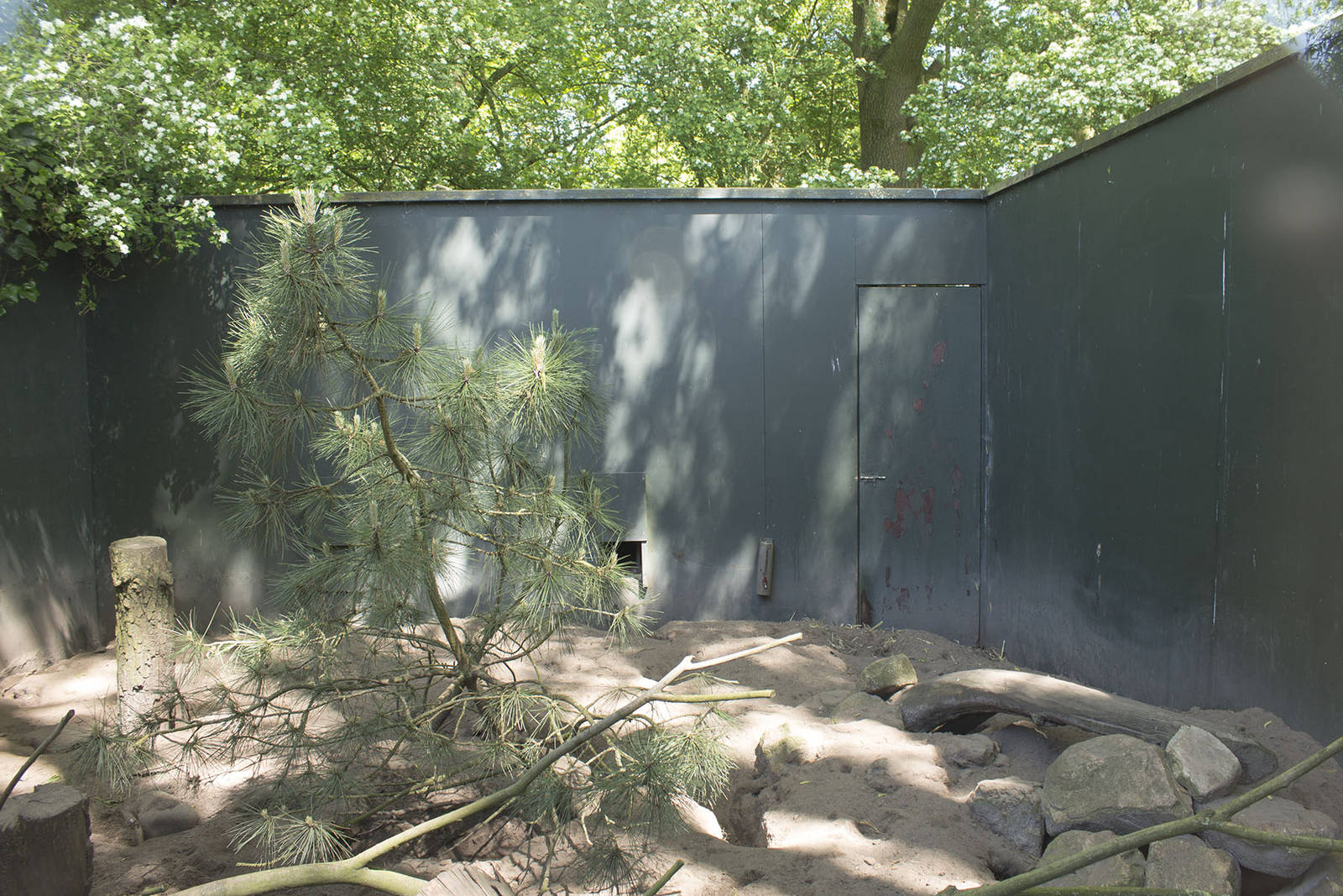 Meerkat exhibit (May 23th, 2015)