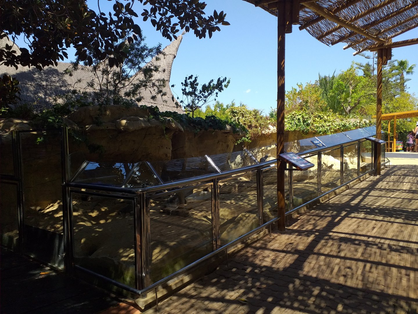 Meerkat exhibit -MundoMar Benidorm (2021)