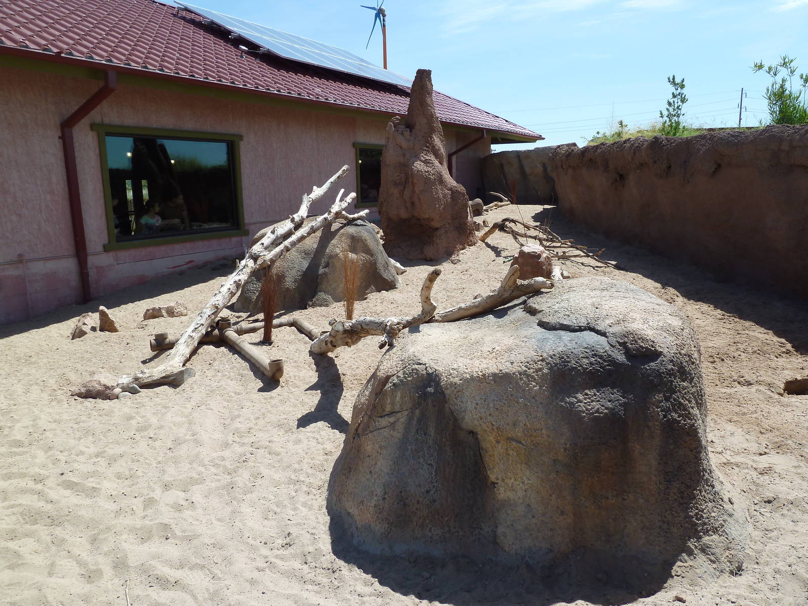 Meerkat Exhibit - New Exhibit In 2010