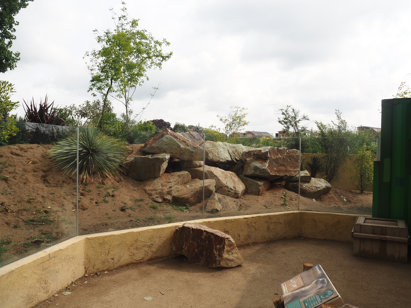 Meerkat exhibit next to the Umvikeli aviary, 2025-06-09