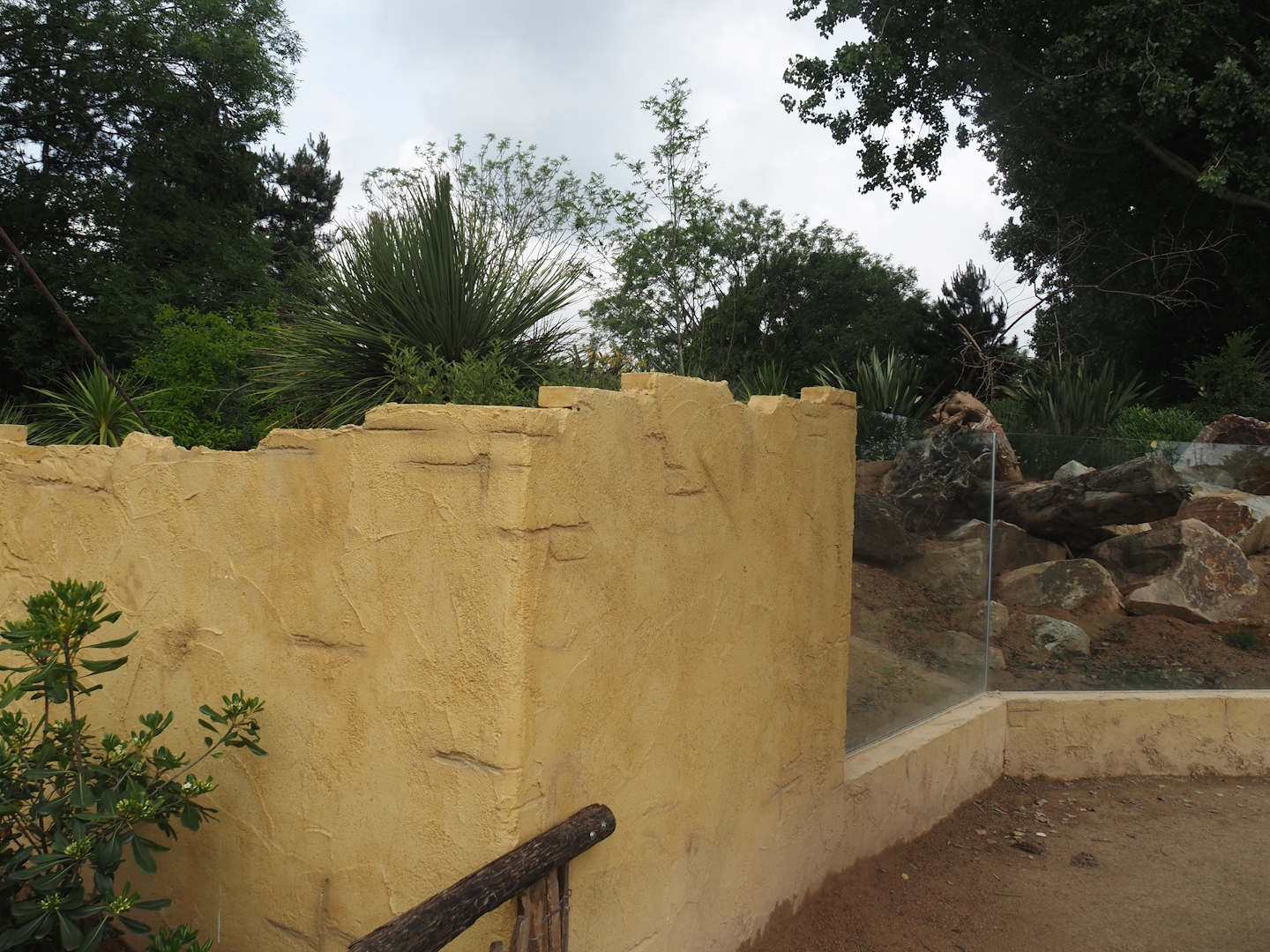 Meerkat exhibit next to the Umvikeli aviary, 2025-06-09