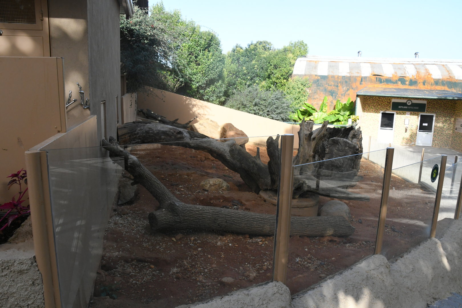 Meerkat Exhibit (outdoor section)