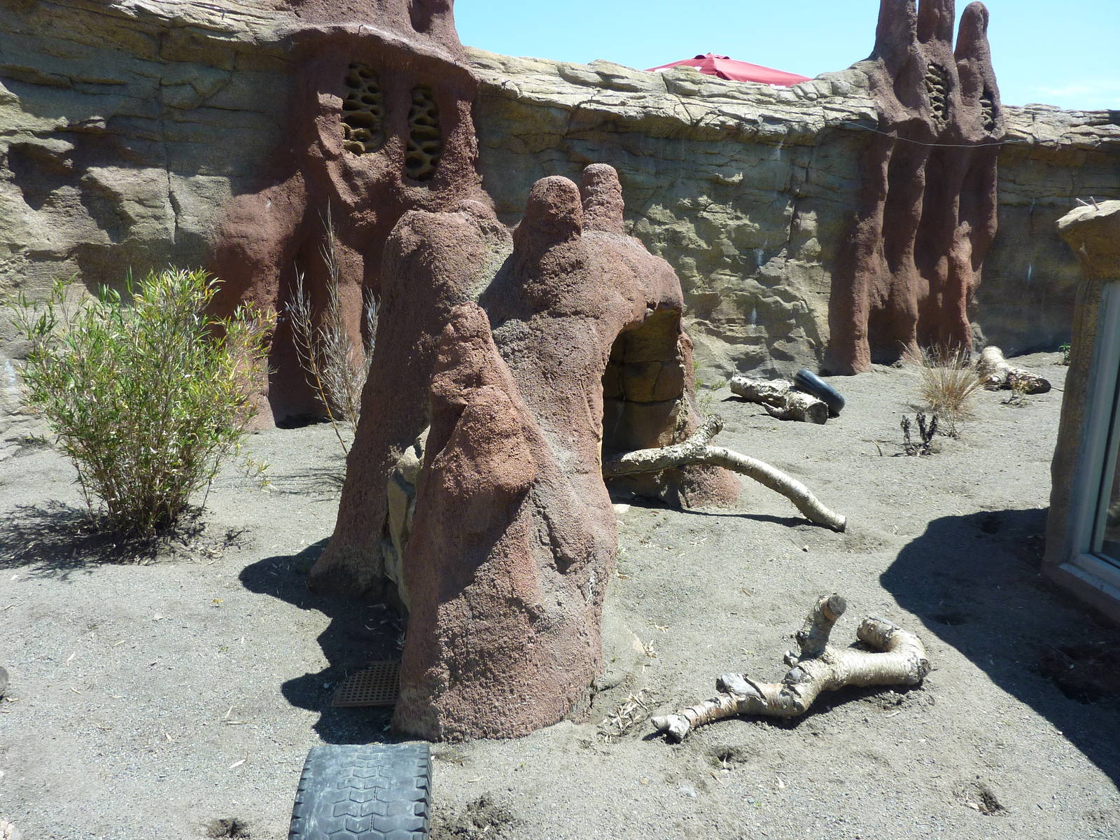 Meerkat Exhibit - Outdoor Section