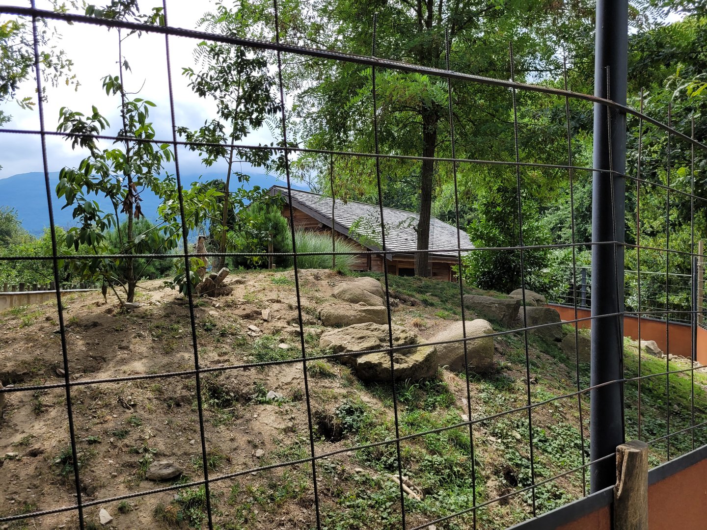 Meerkat exhibit -Parc Animalier des Pyrénées (2023)