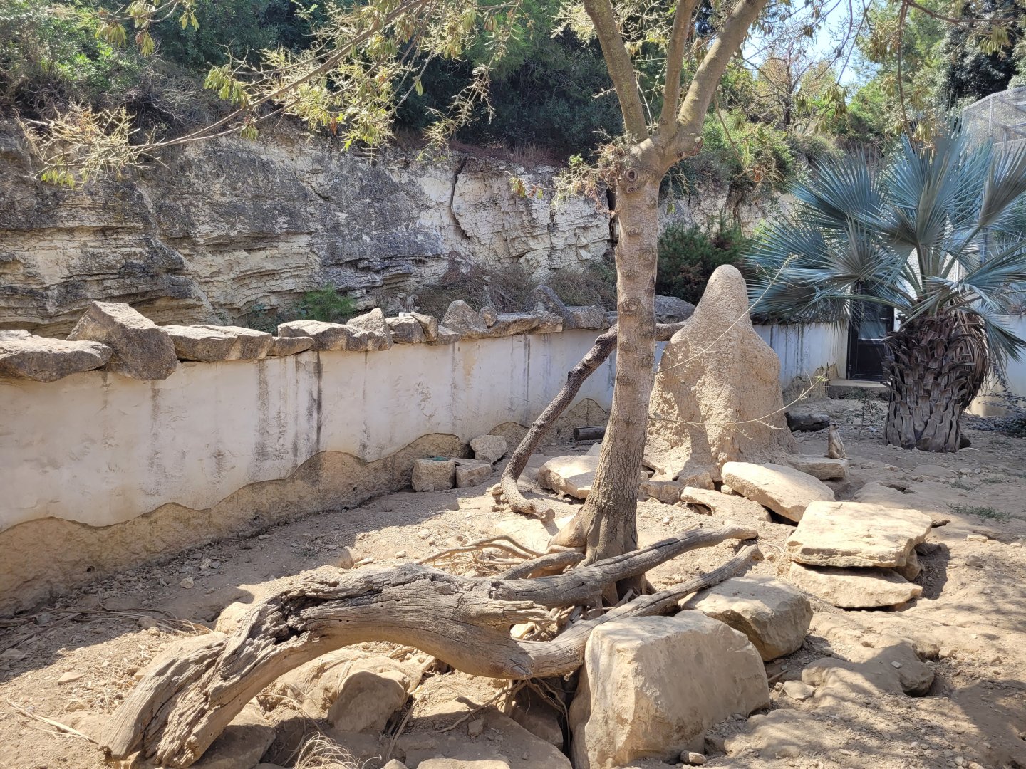 Meerkat exhibit -Réserve Africaine de Sigean (2022)