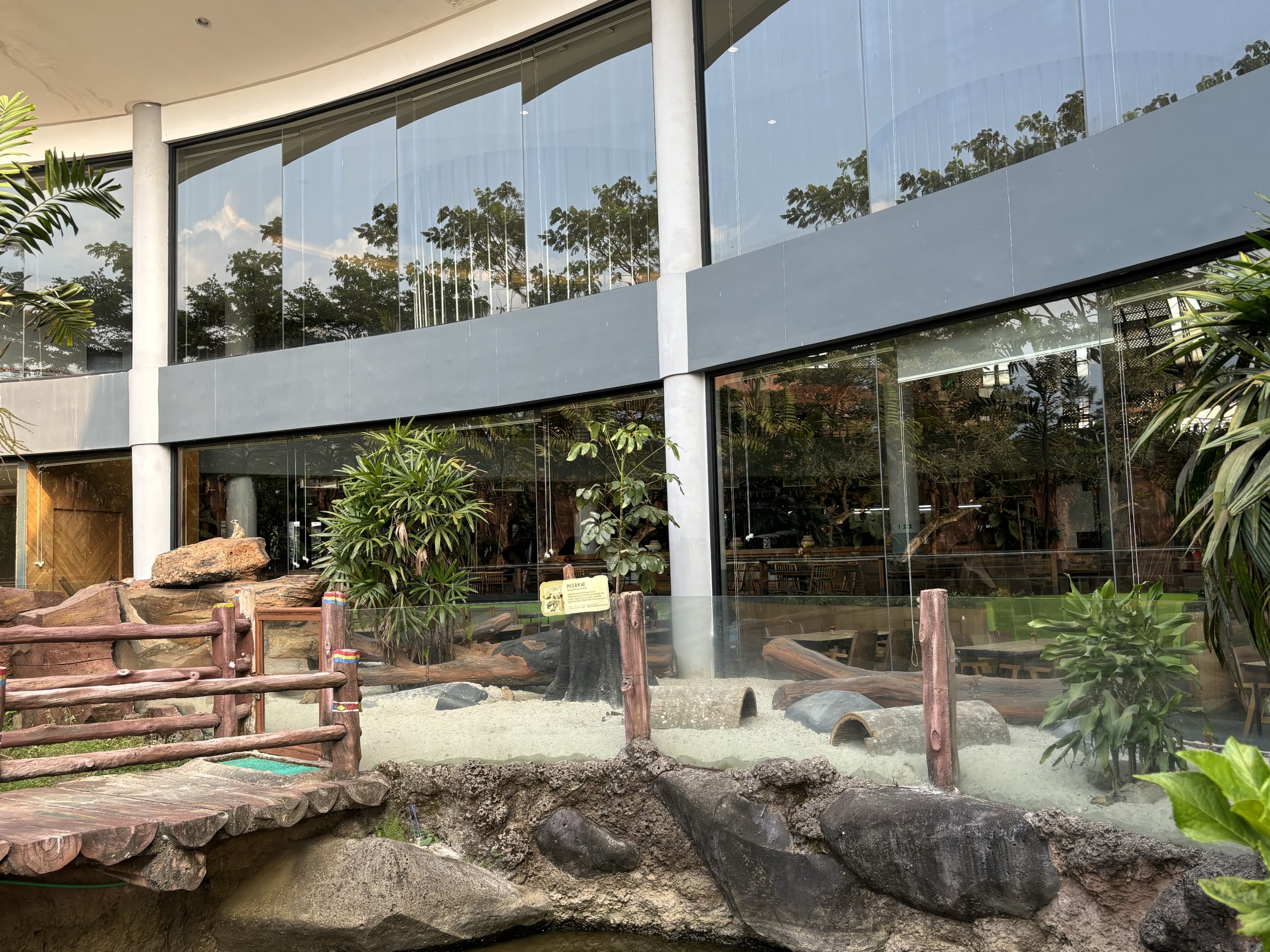 Meerkat Exhibit - Royal Safari Garden Resort