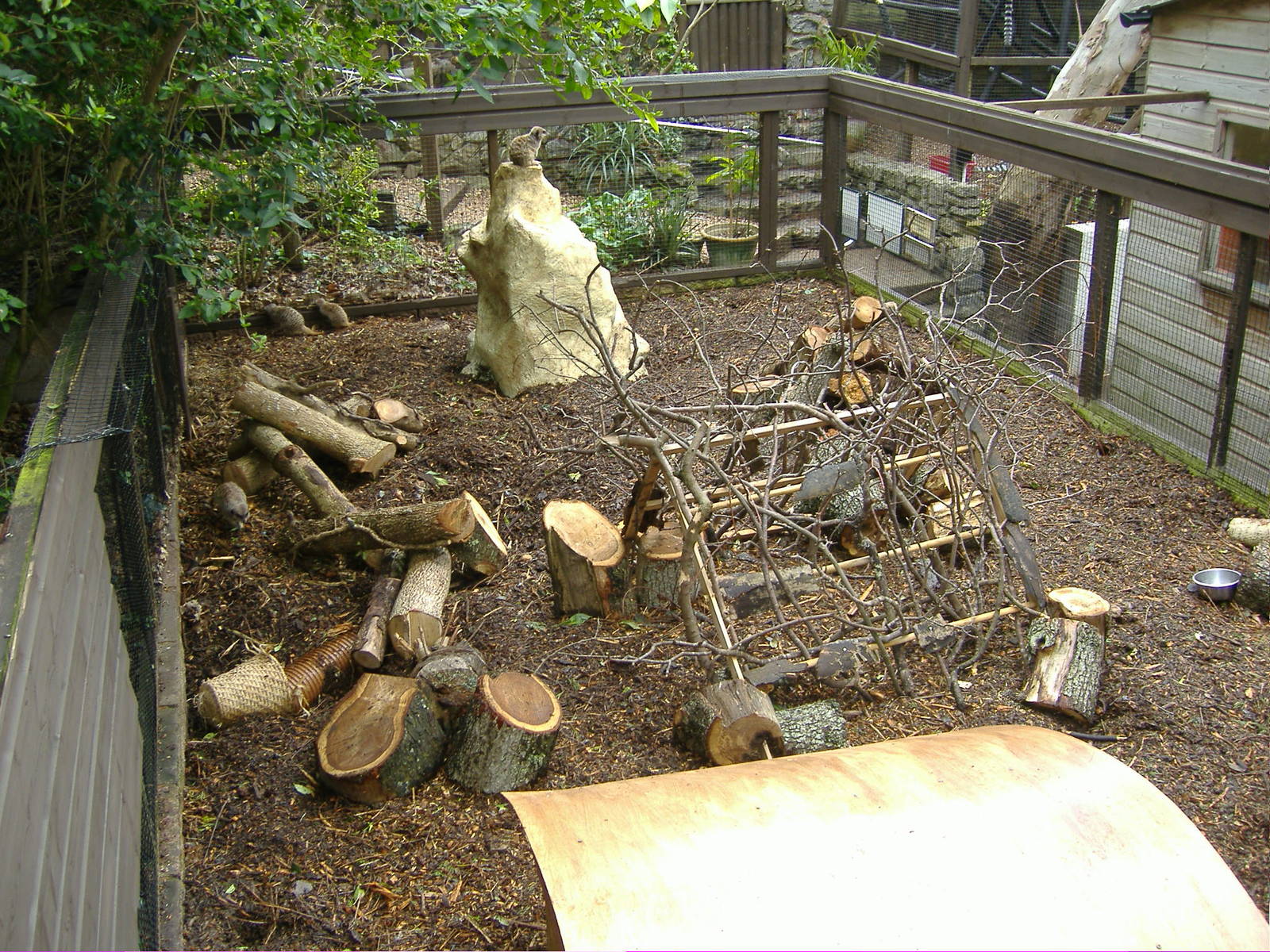 Meerkat Exhibit Shaldon Zoo