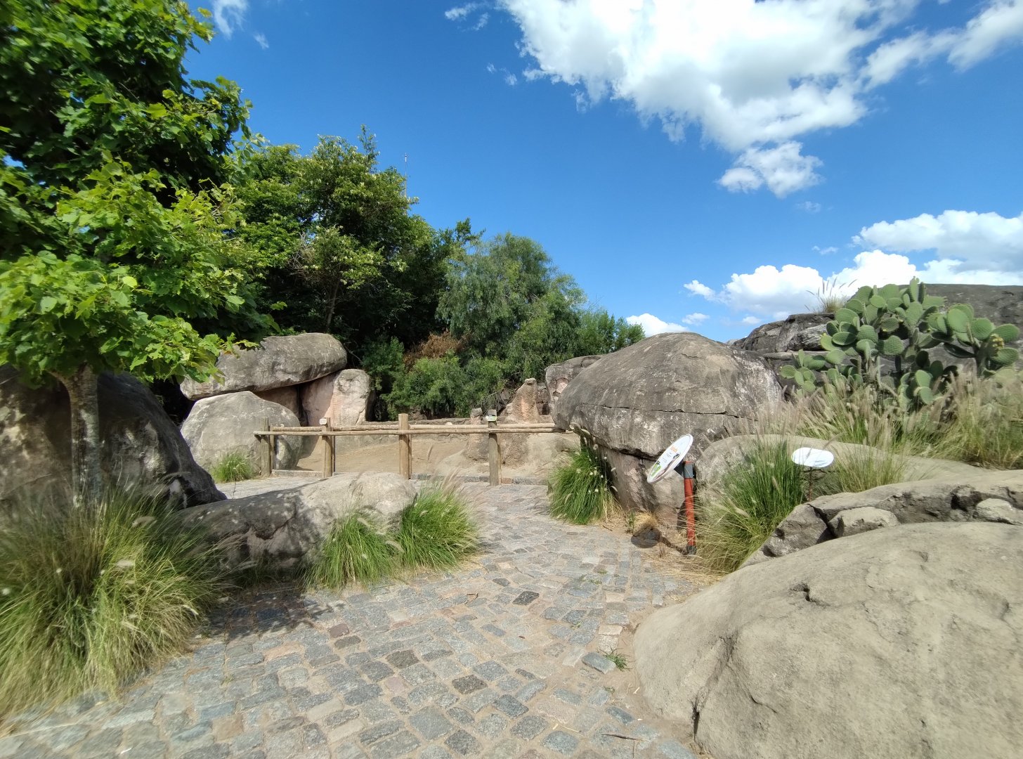 Meerkat exhibit - Temaiken